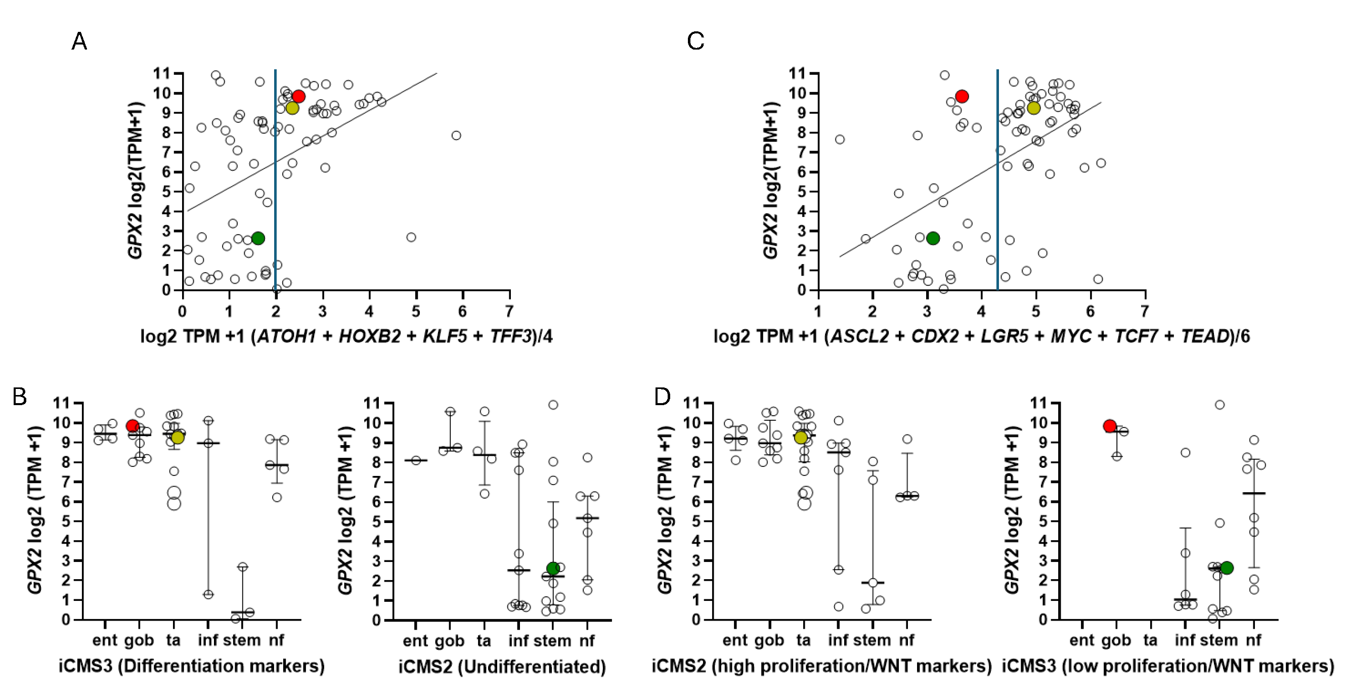 Preprints 110878 g009