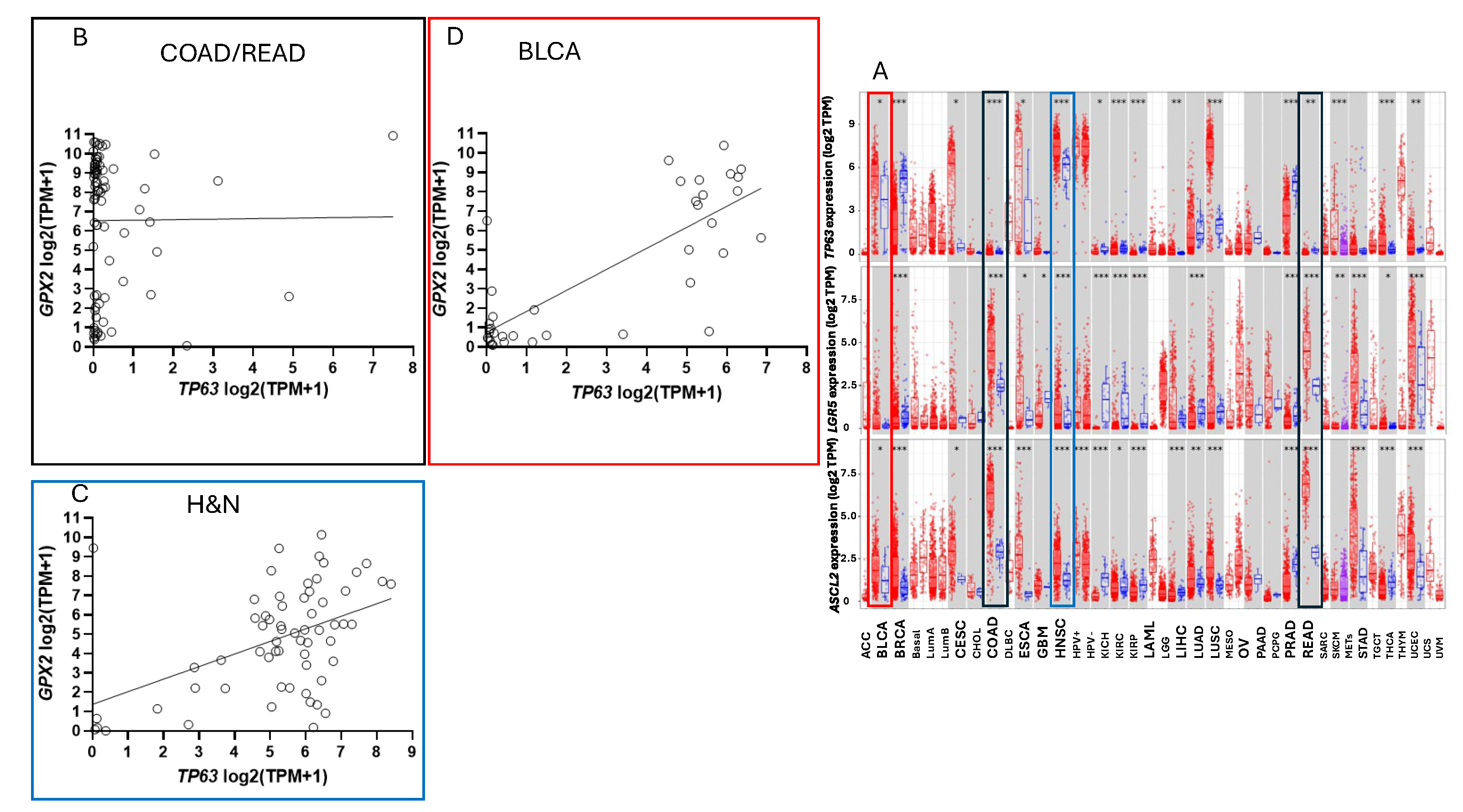 Preprints 110878 g010