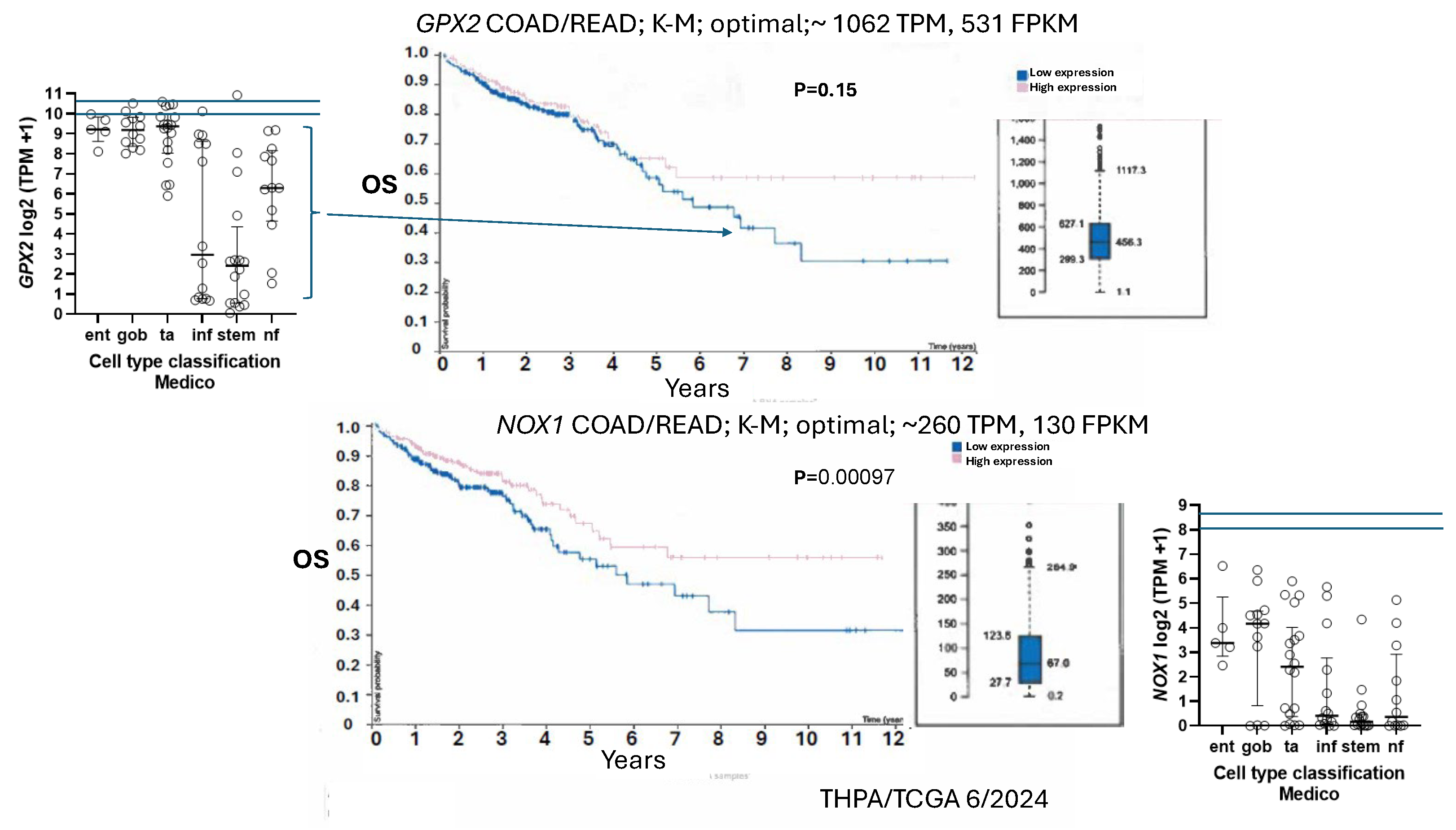 Preprints 110878 g011