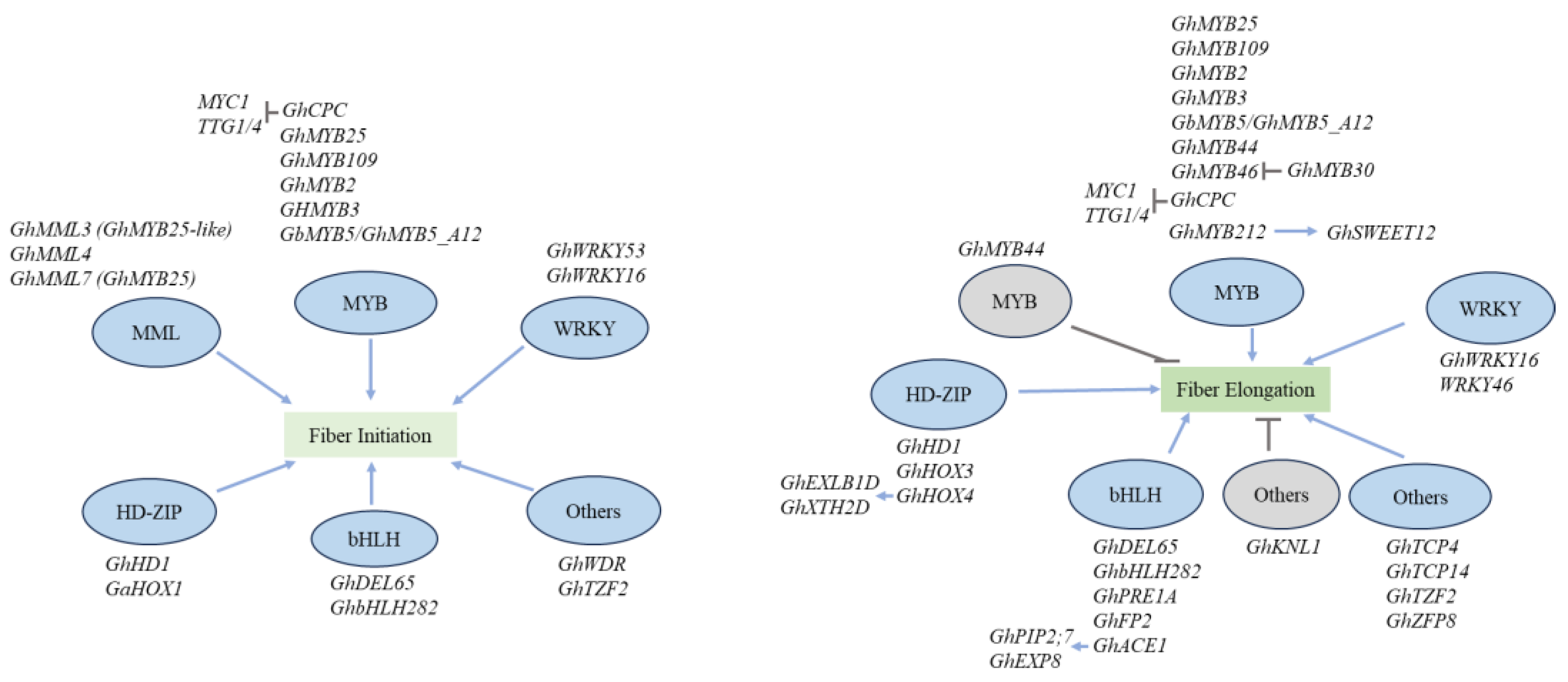 Preprints 106224 g002