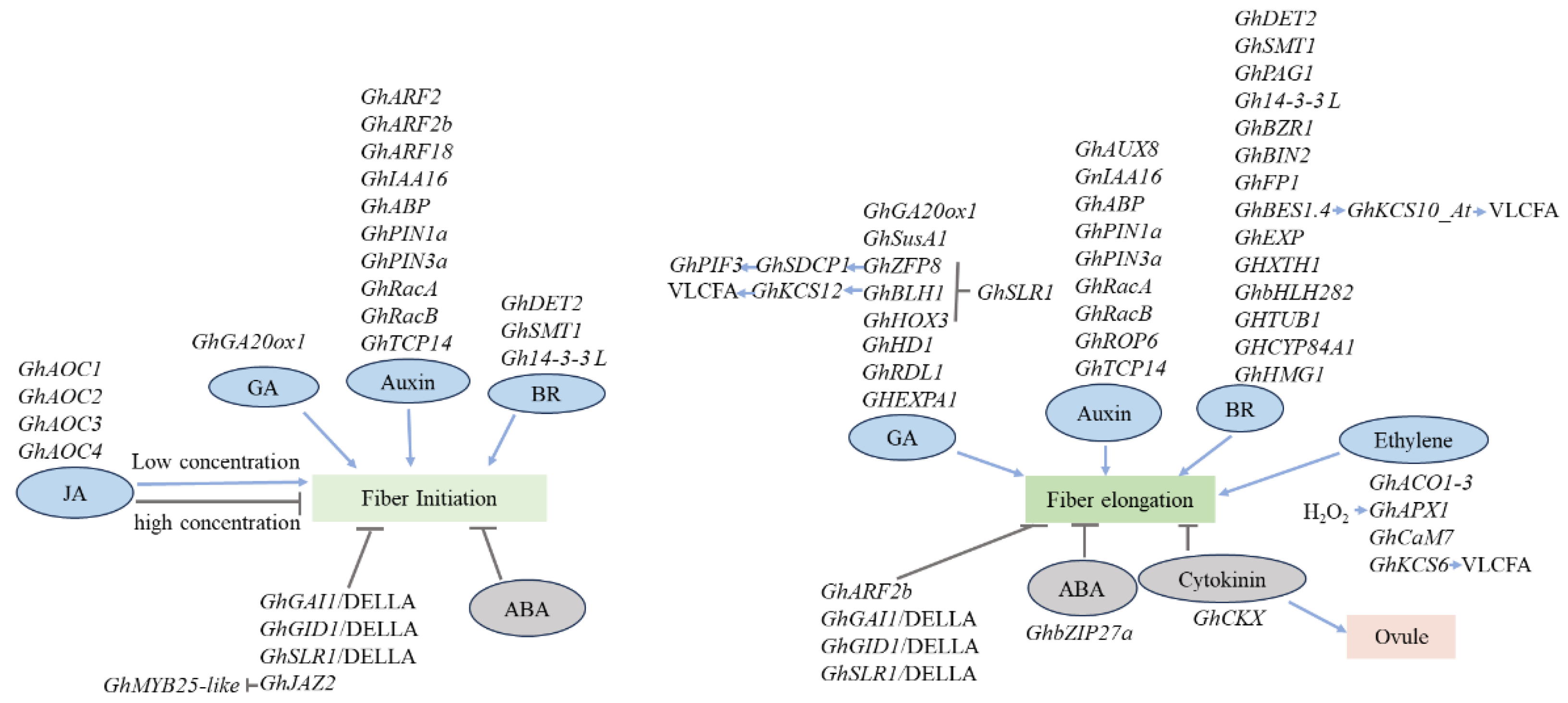 Preprints 106224 g003