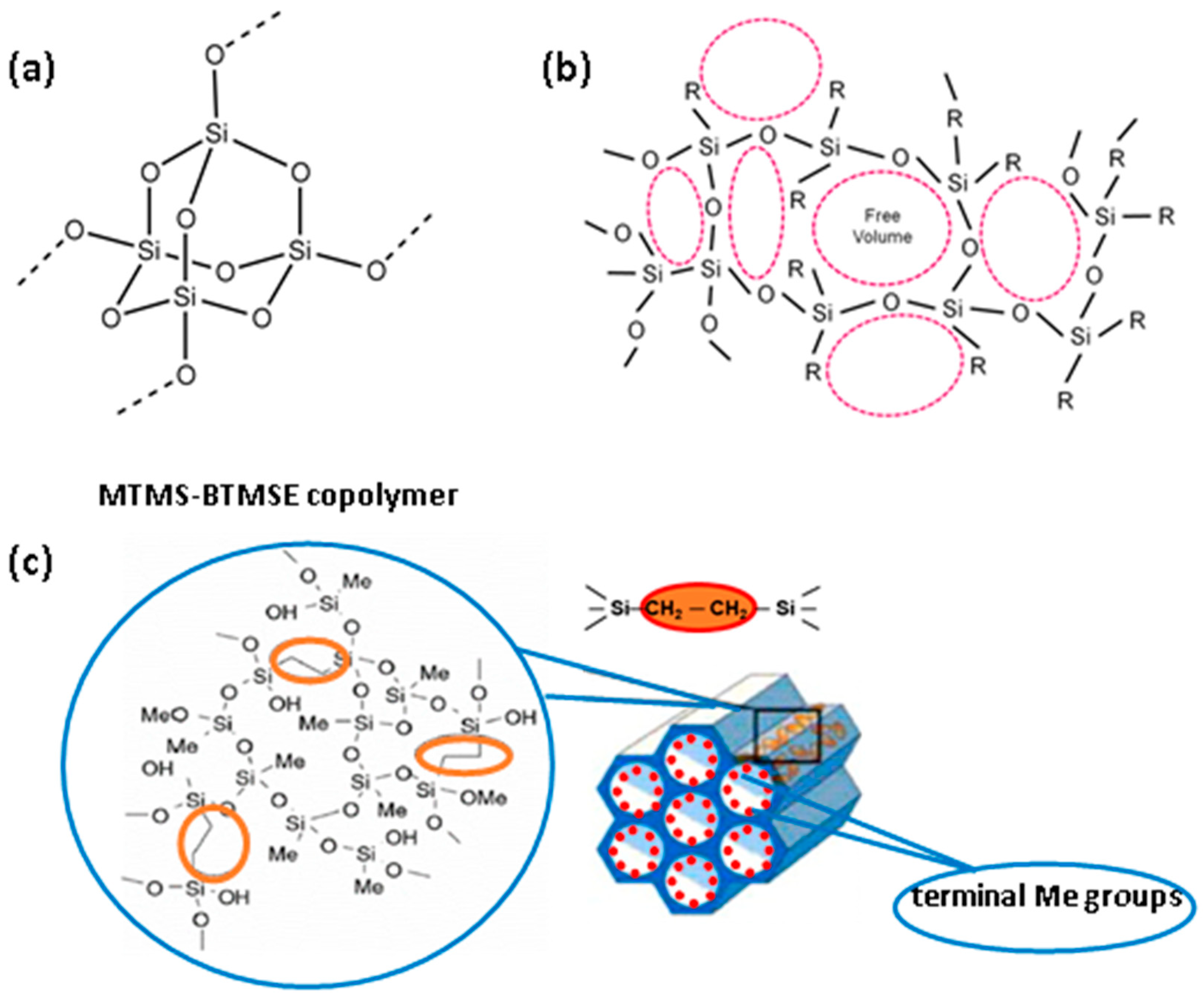 Preprints 110864 g001