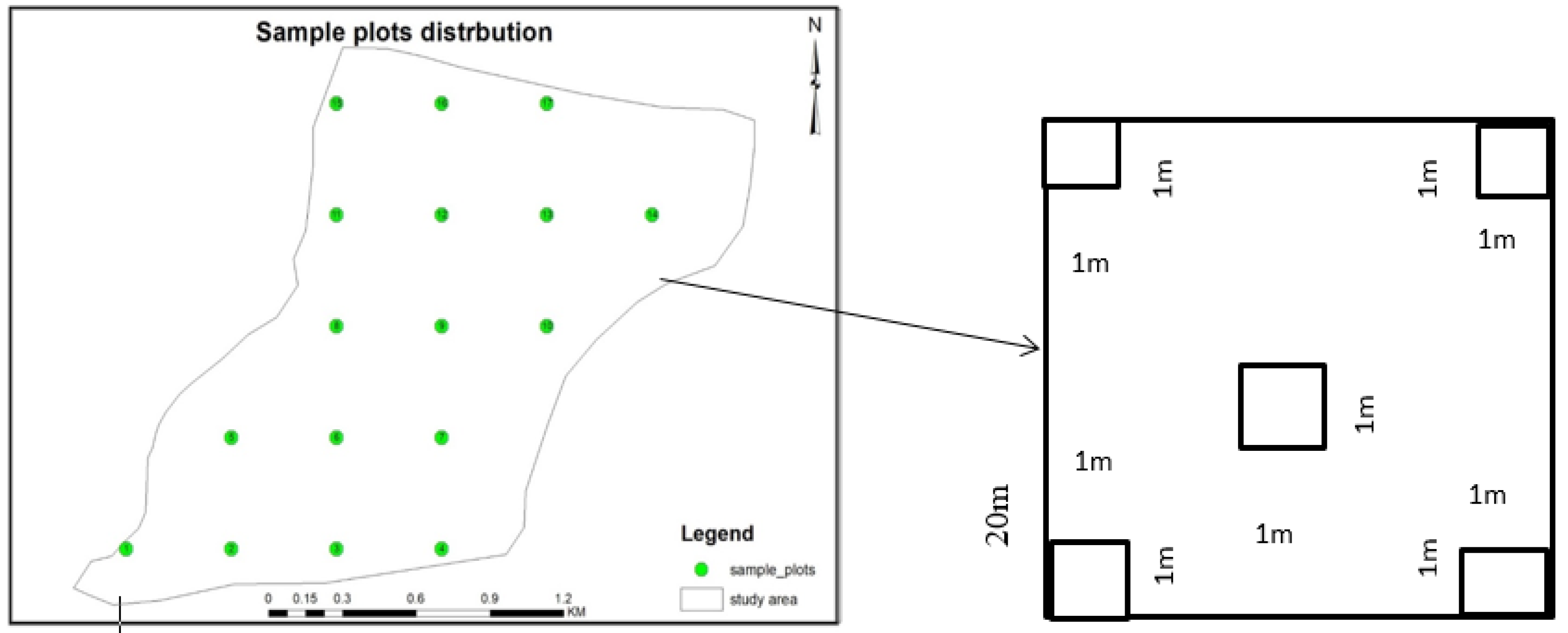 Preprints 111459 g002