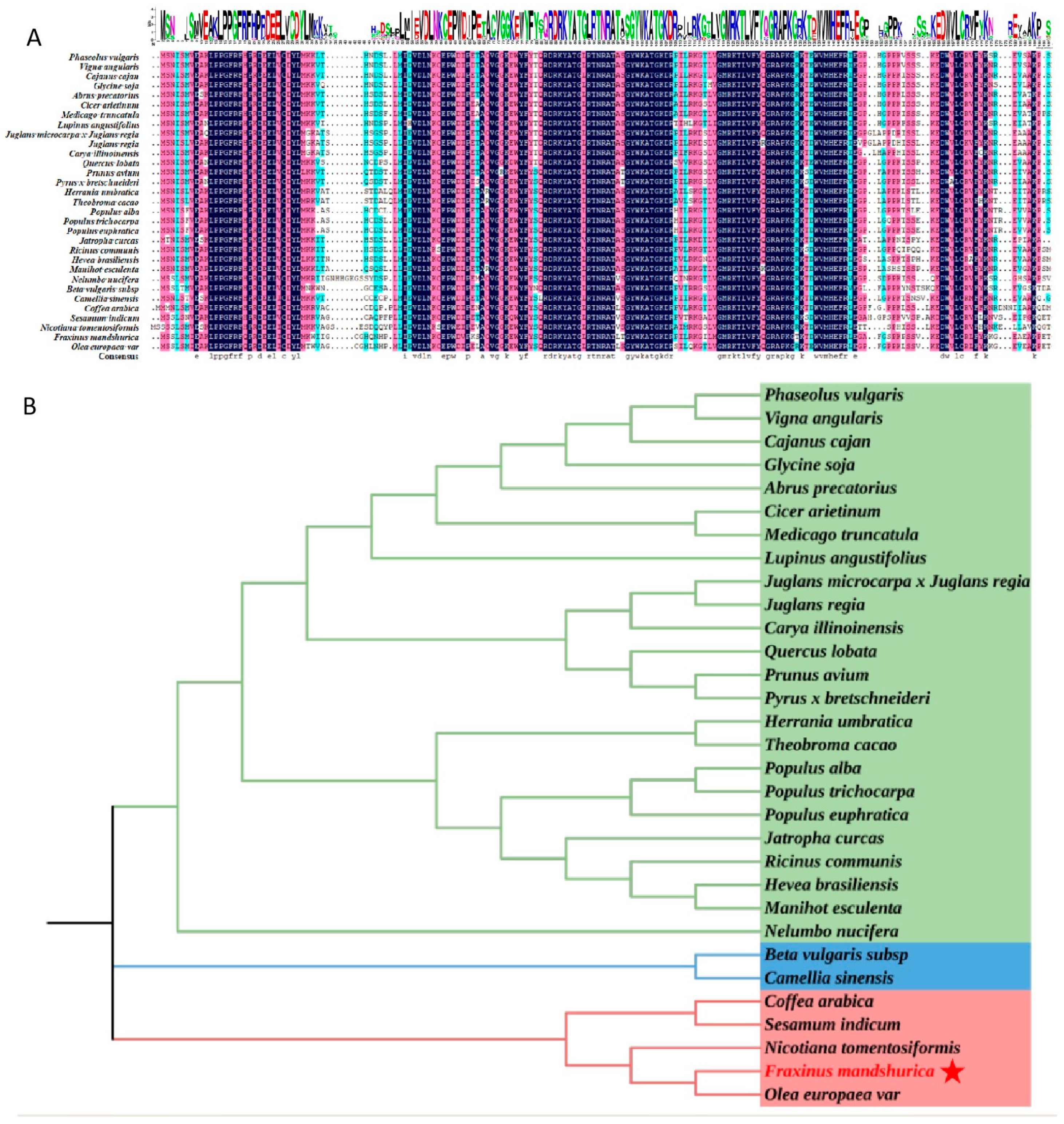 Preprints 107072 g002