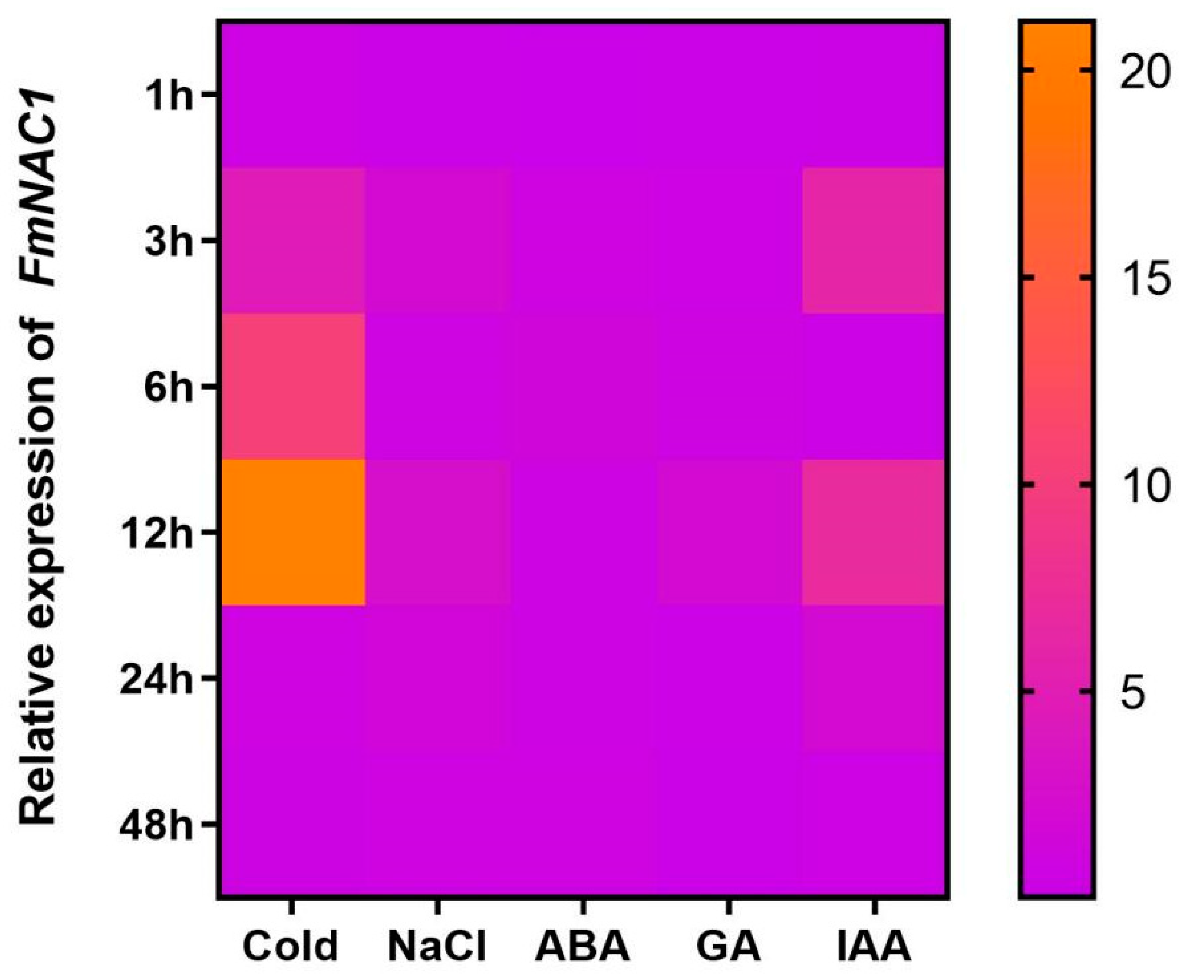 Preprints 107072 g004