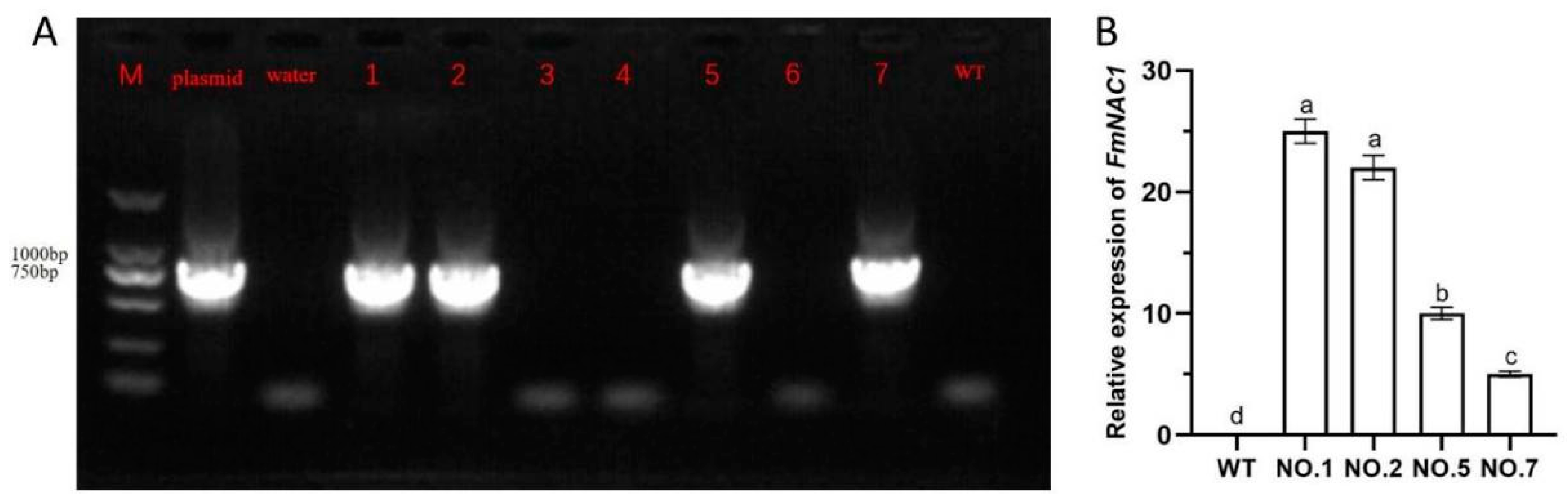 Preprints 107072 g006