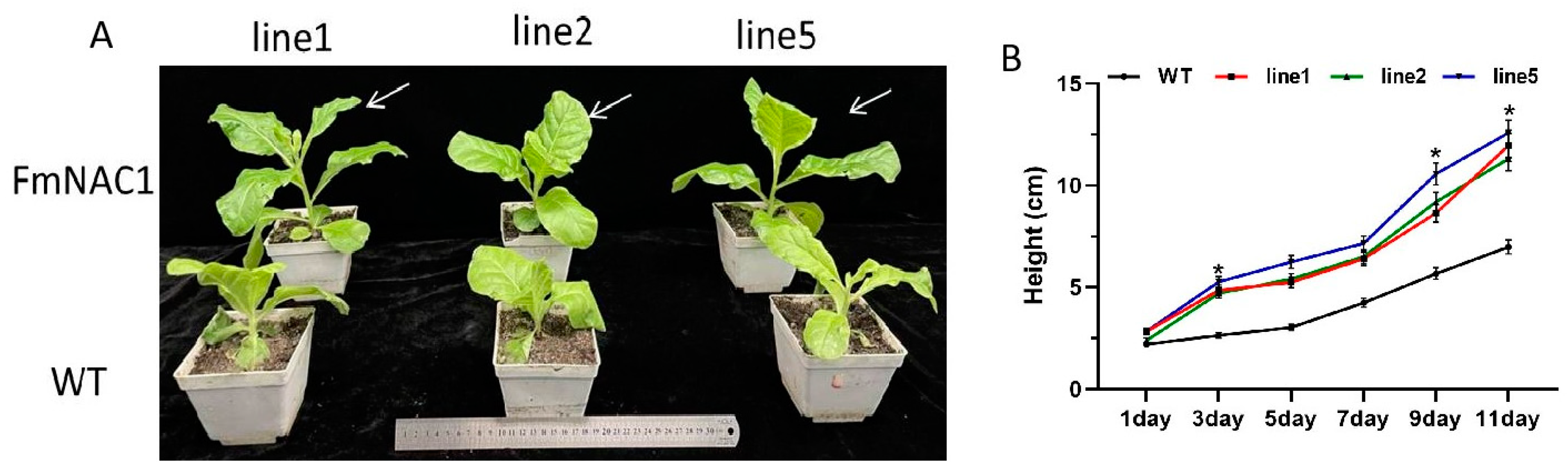 Preprints 107072 g007