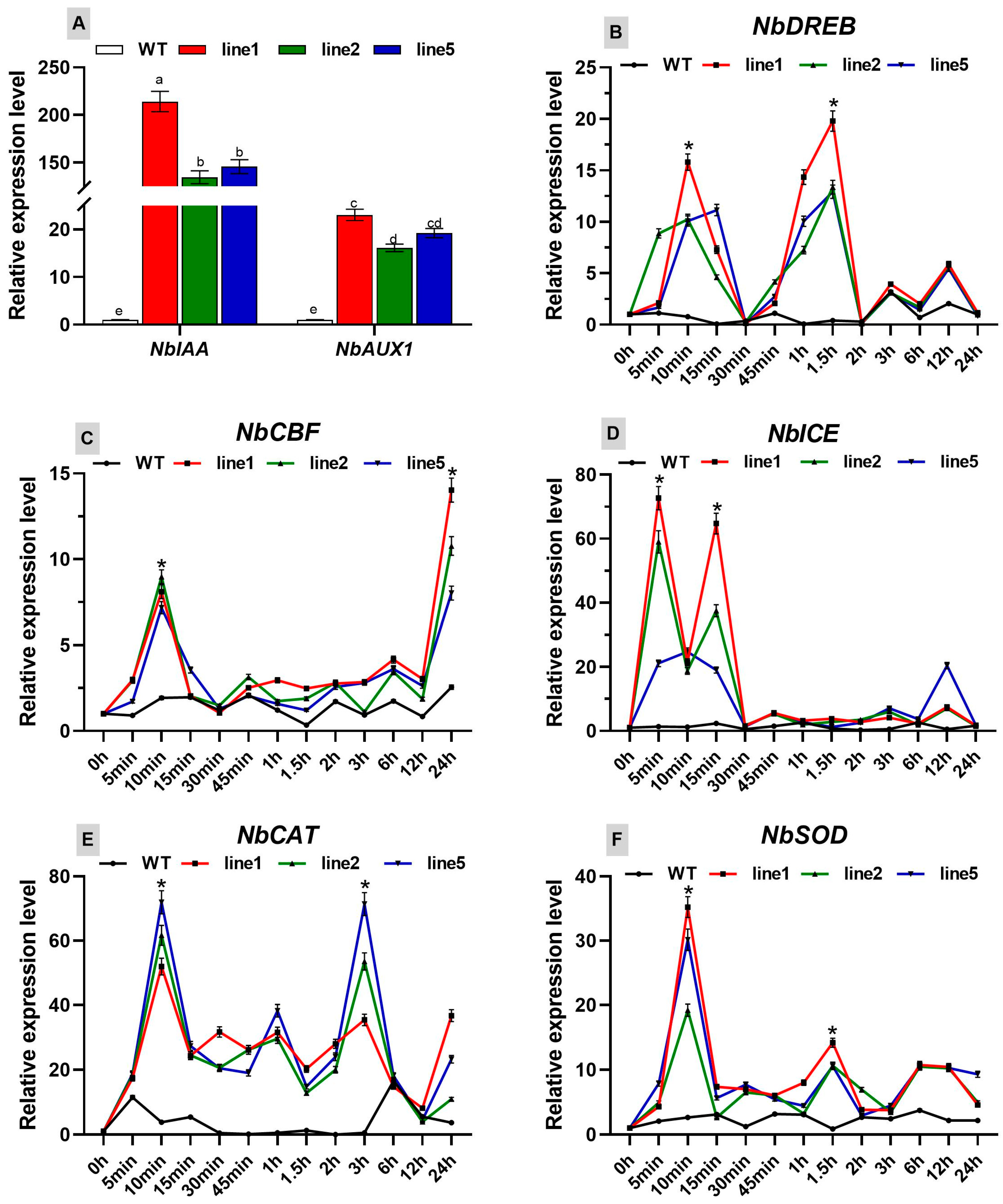 Preprints 107072 g010