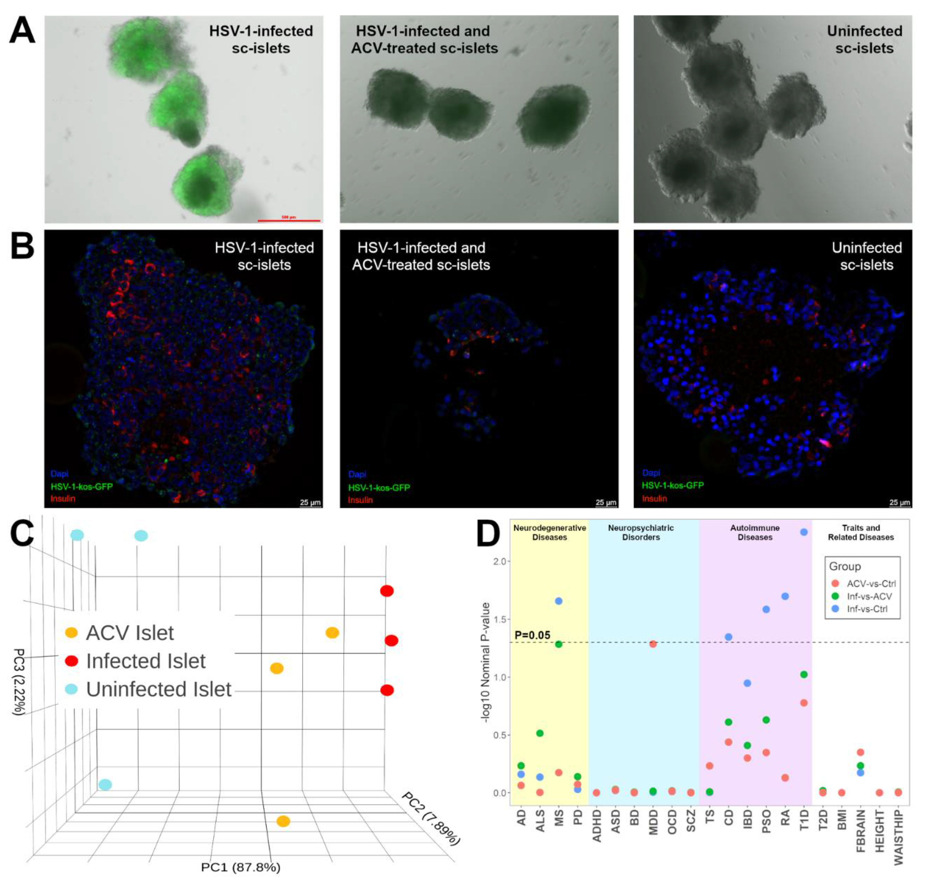 Preprints 112256 g001