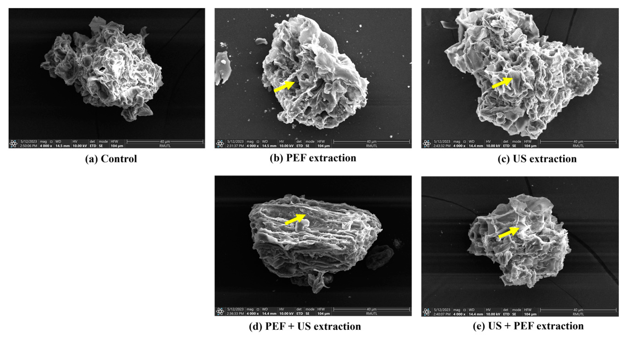 Preprints 79215 g003