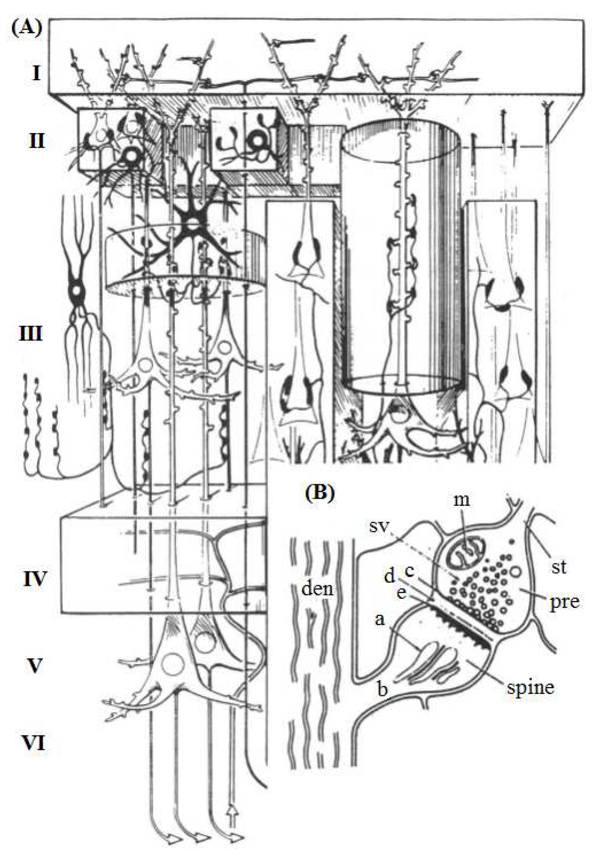 Preprints 85016 g002