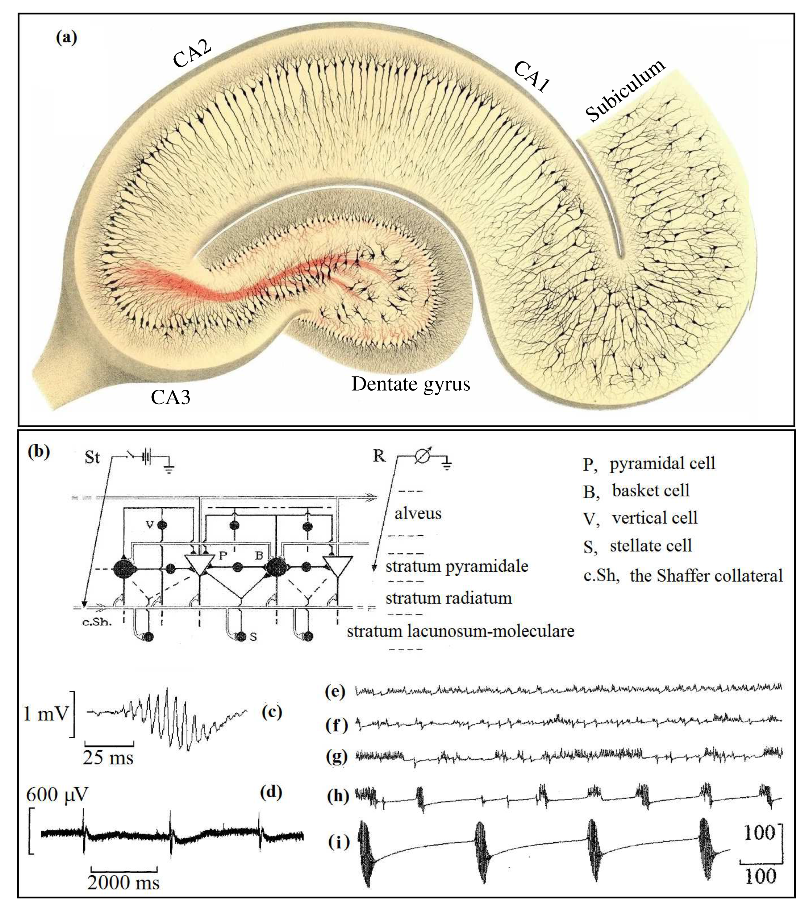 Preprints 85016 g018