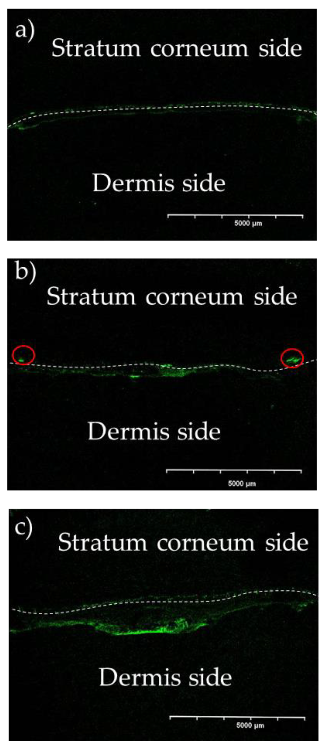 Preprints 117088 g002