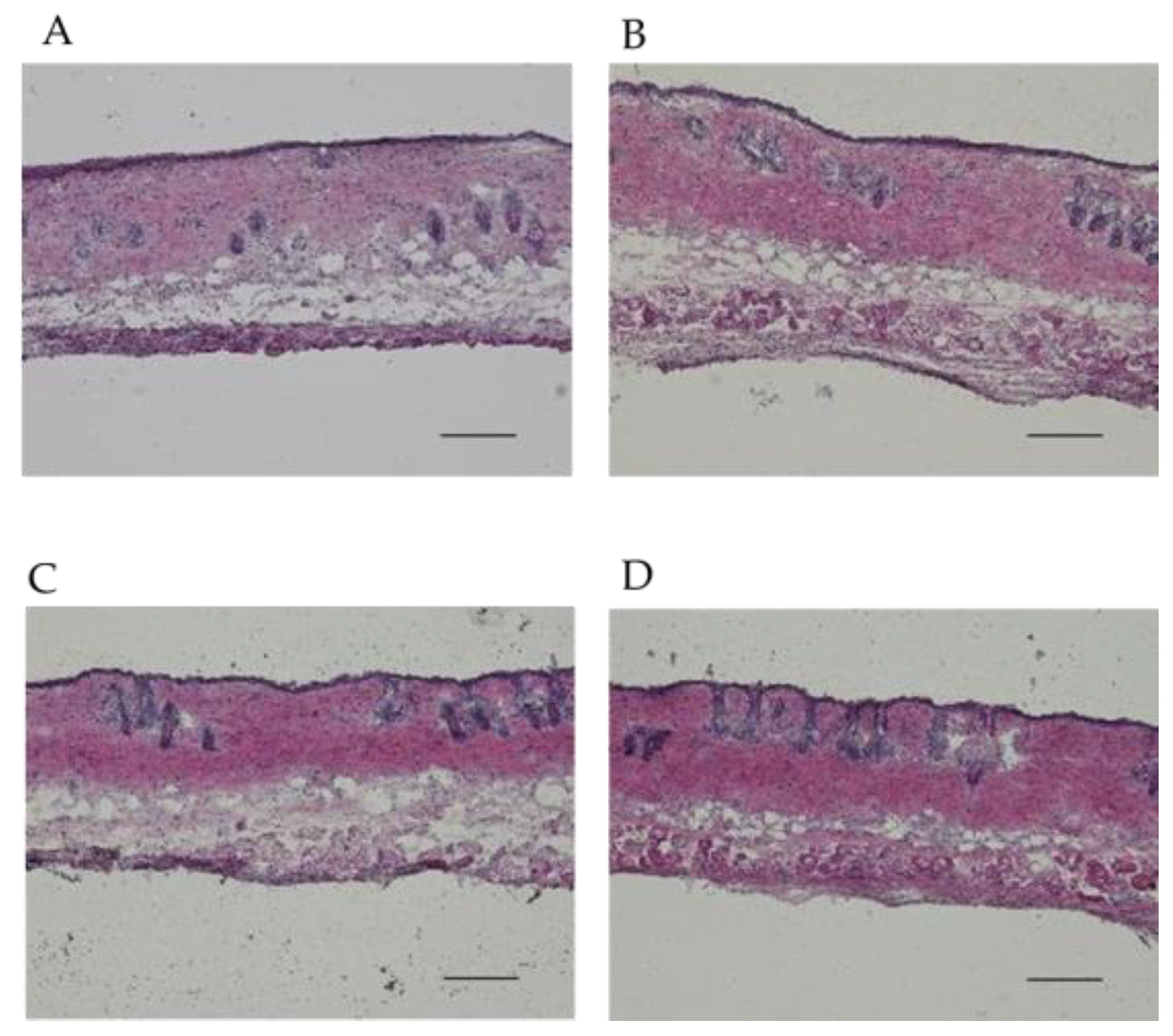 Preprints 117088 g005