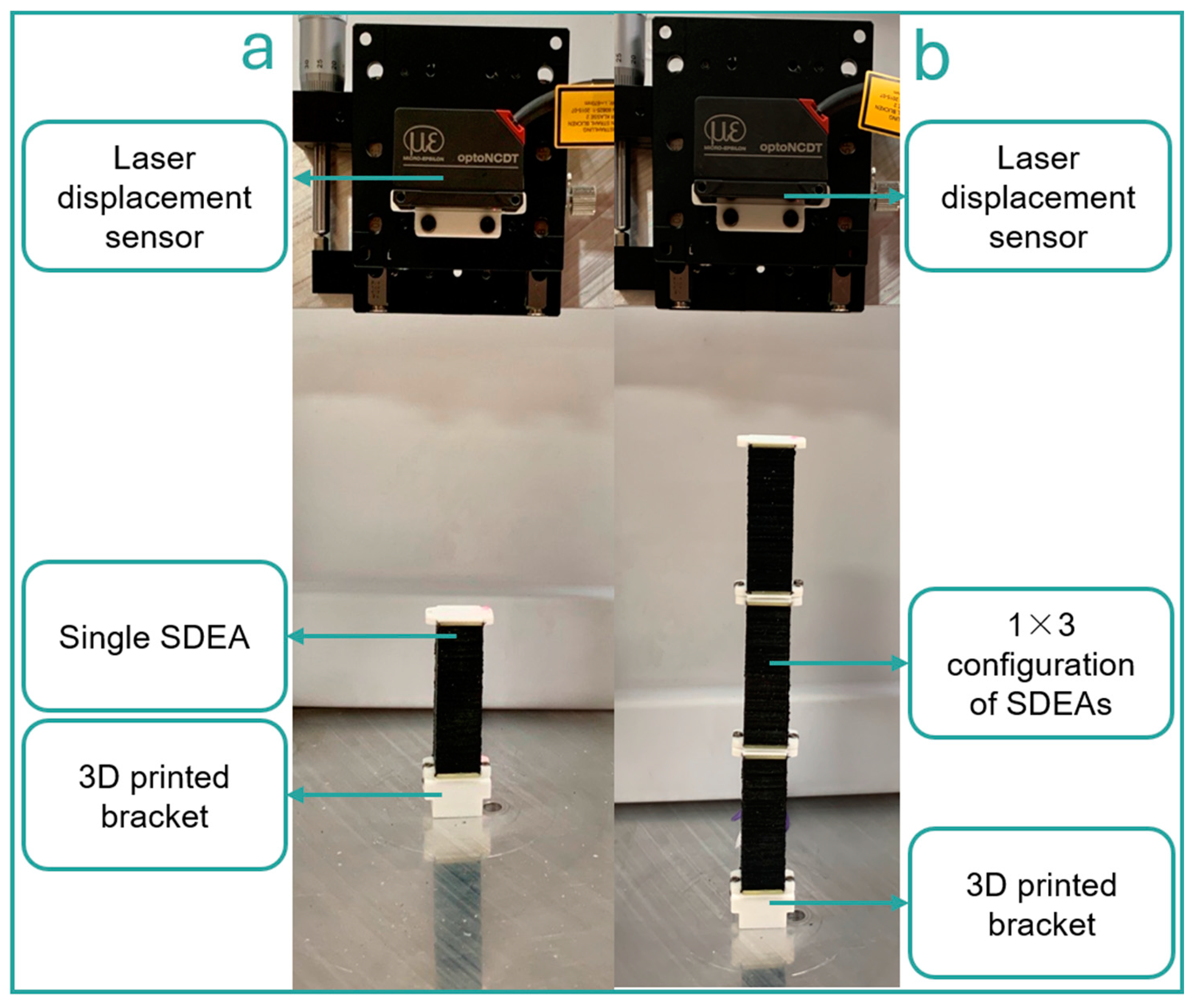 Preprints 118392 g005