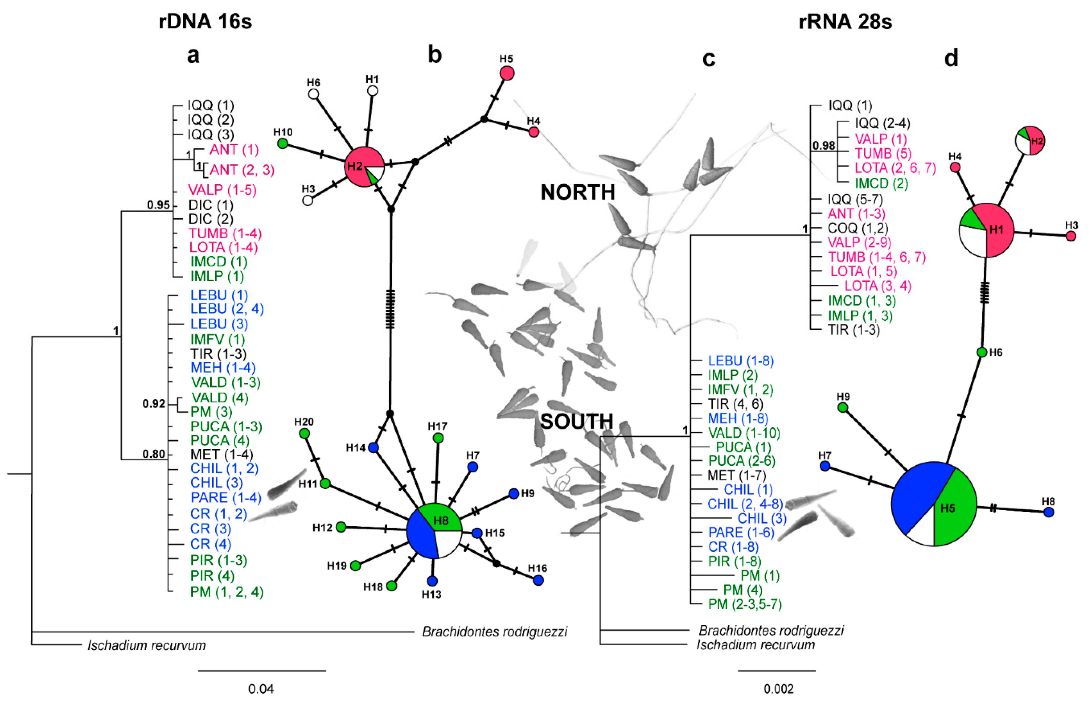 Preprints 96137 g004