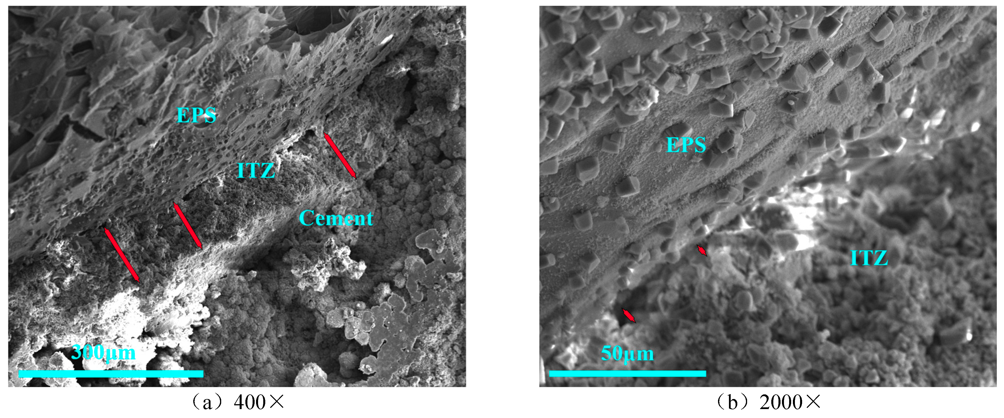 Preprints 70374 g007