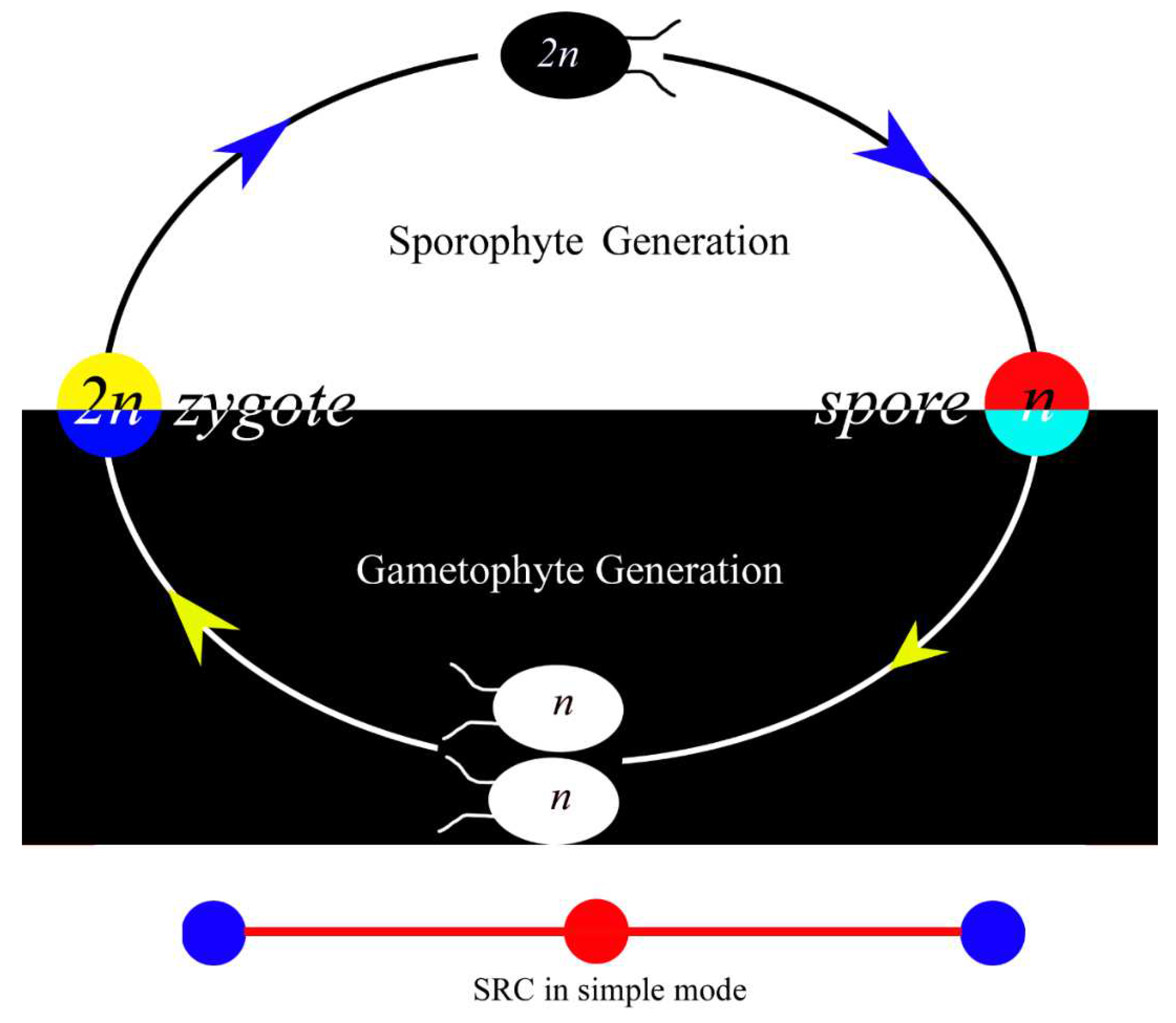 Preprints 88913 g001