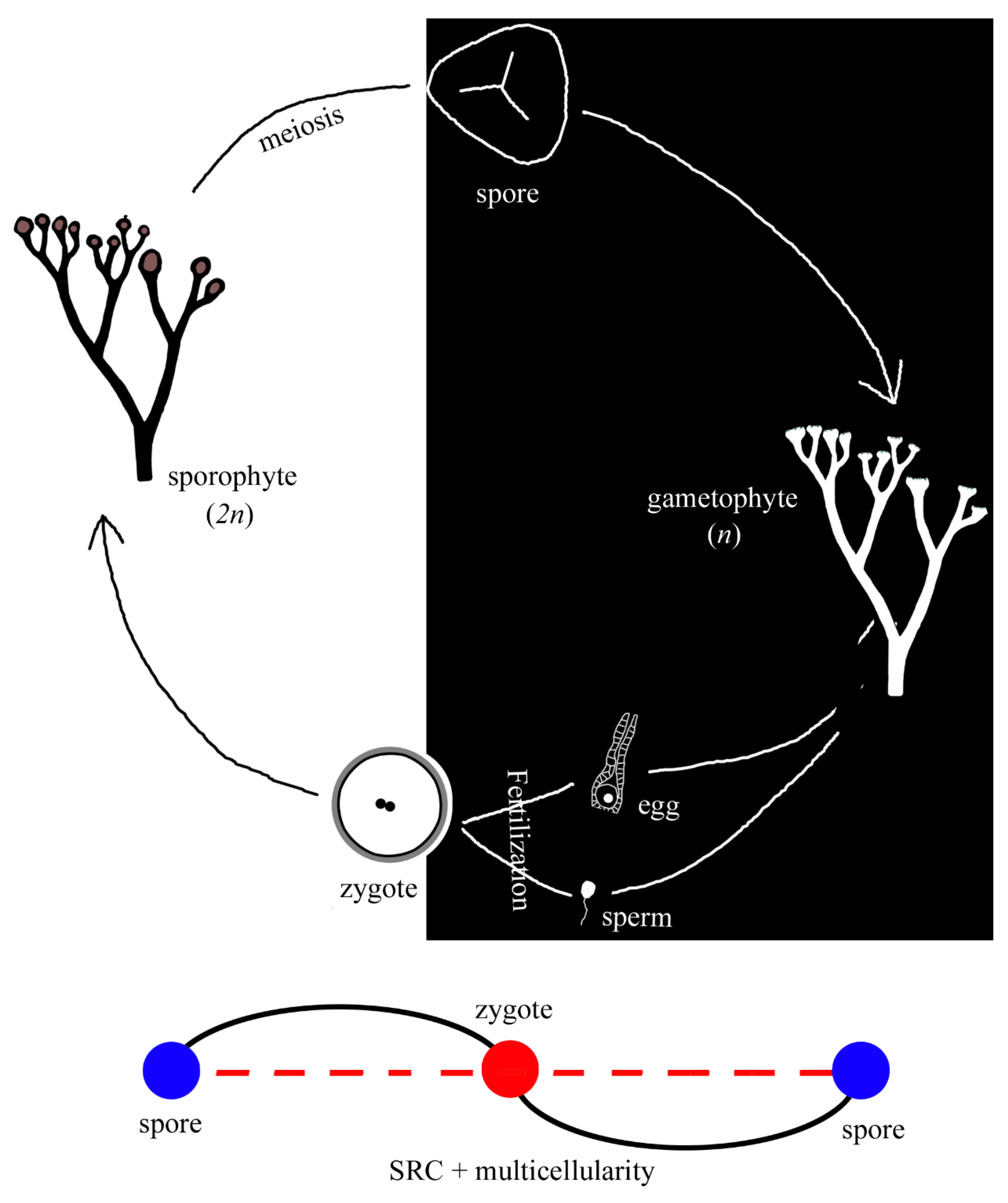 Preprints 88913 g005