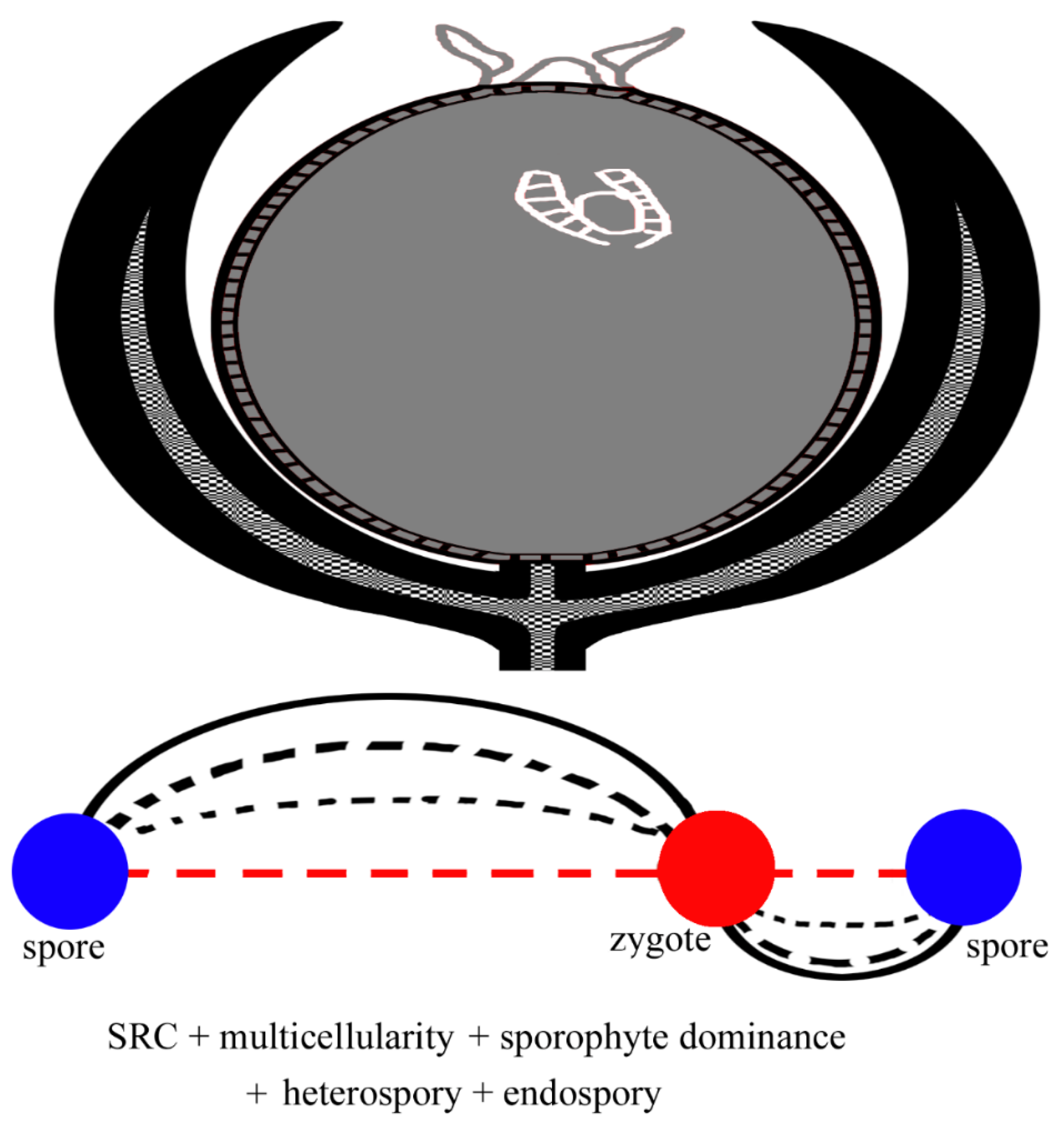 Preprints 88913 g008