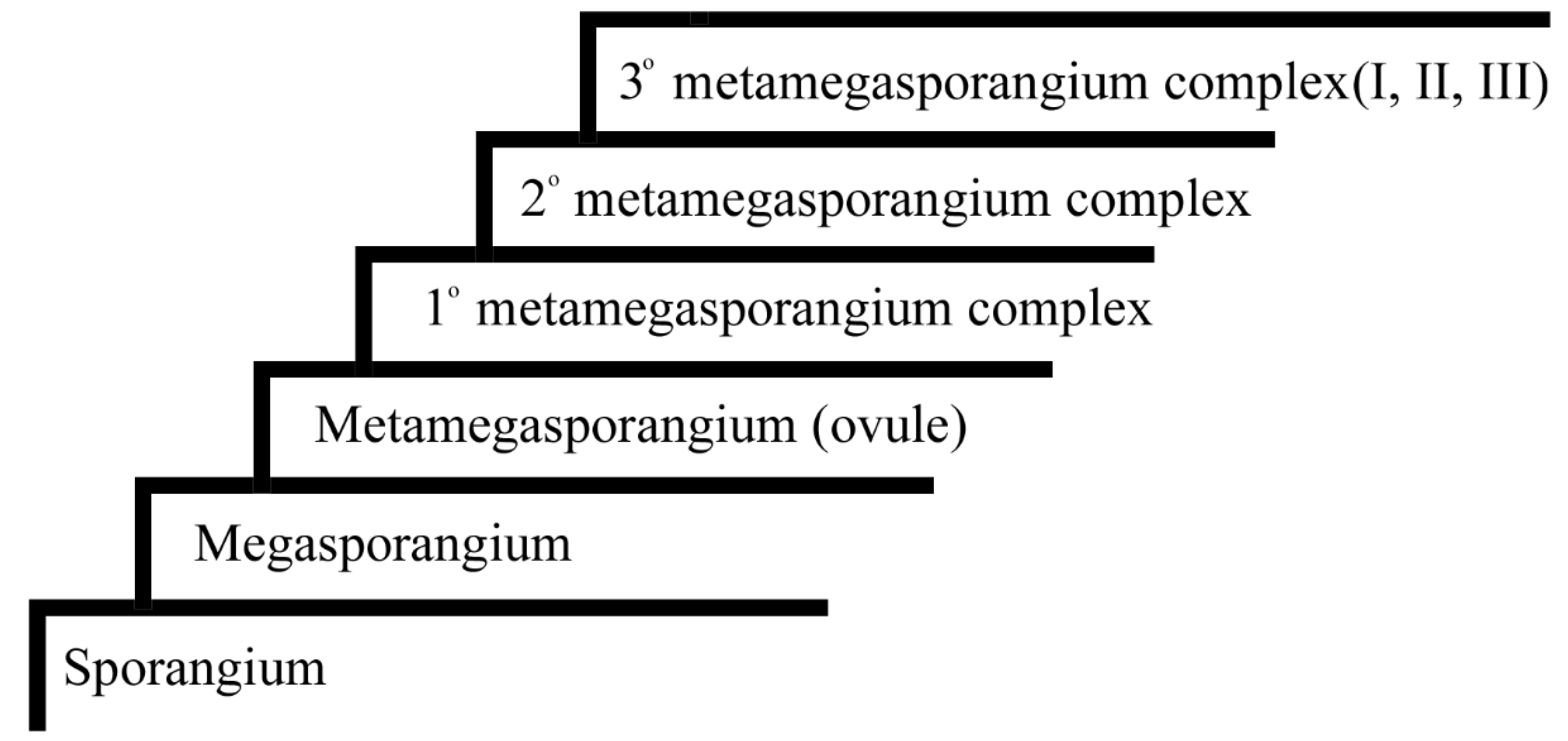 Preprints 88913 g015