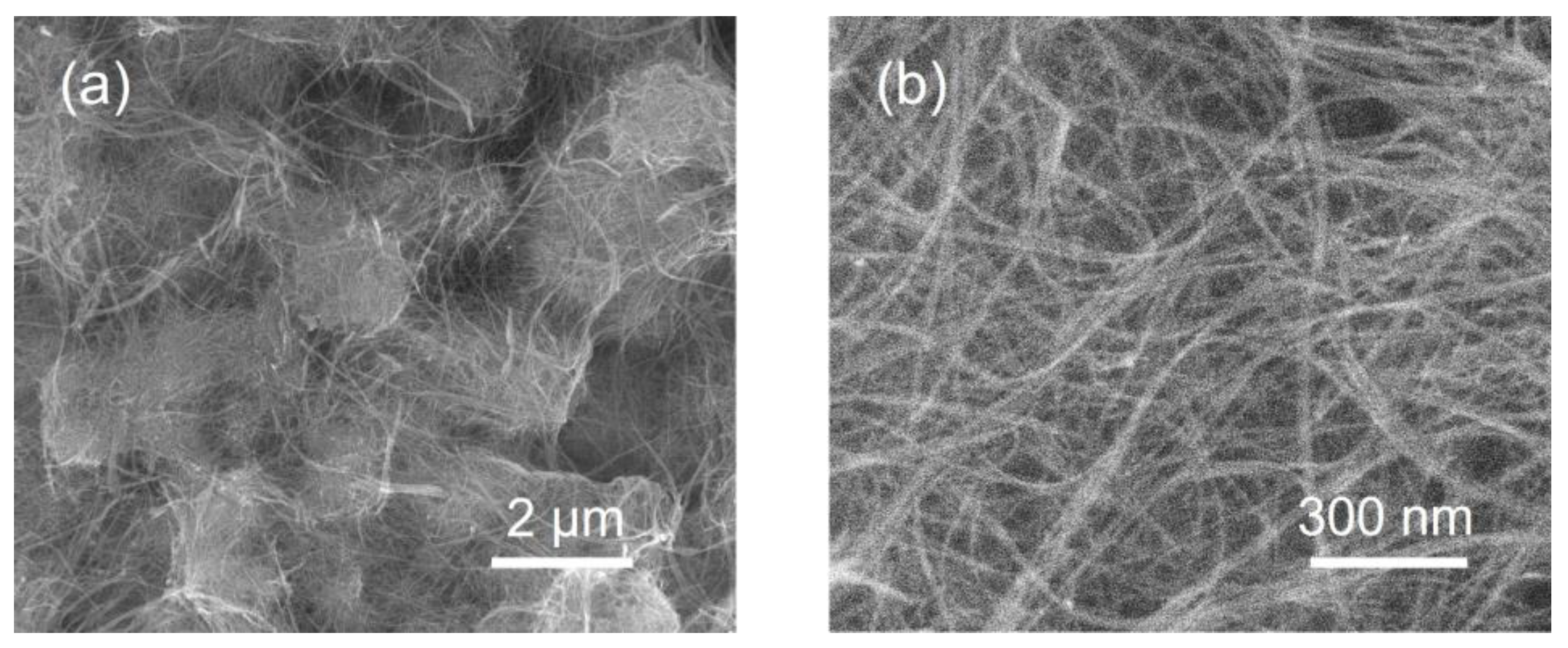 Preprints 103157 g001