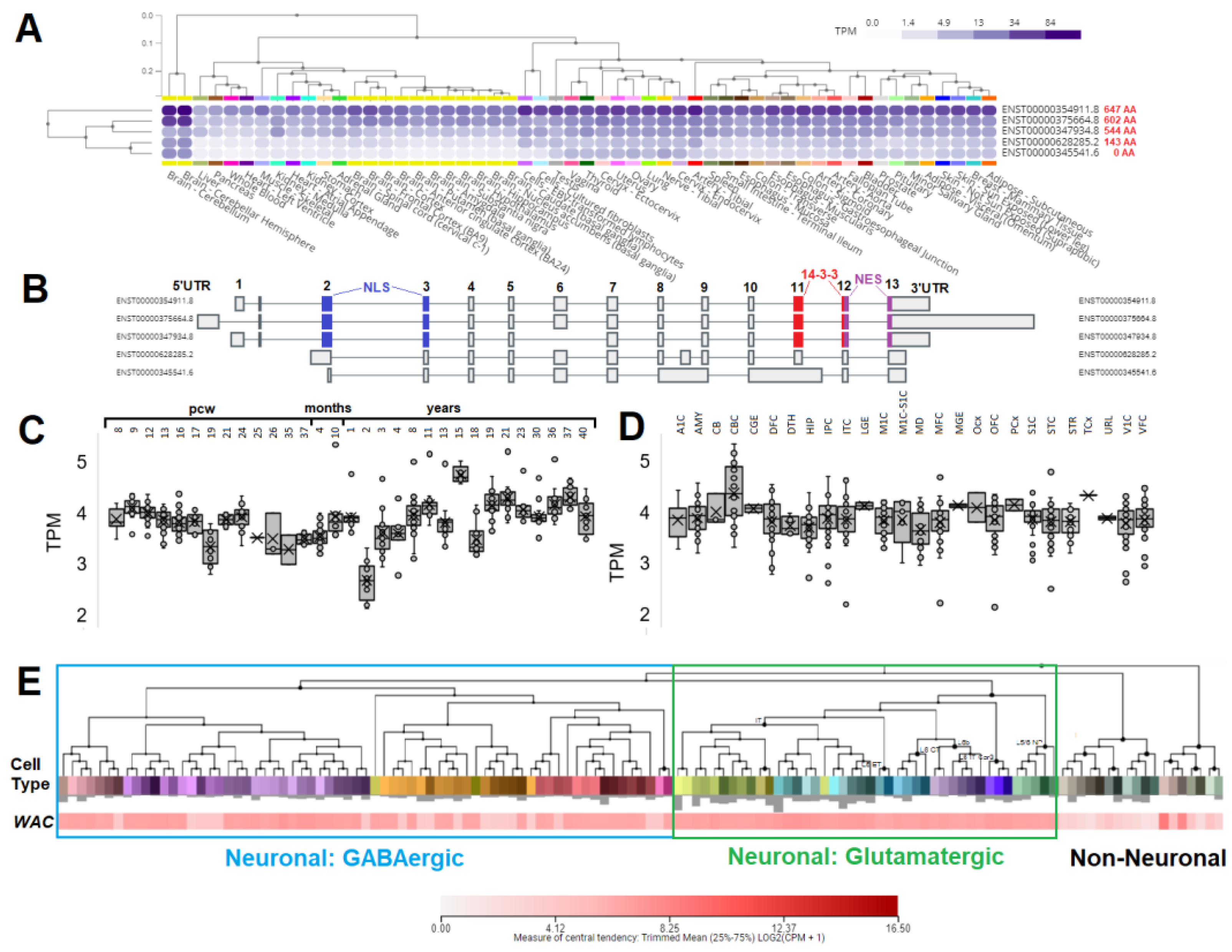 Preprints 68787 g003