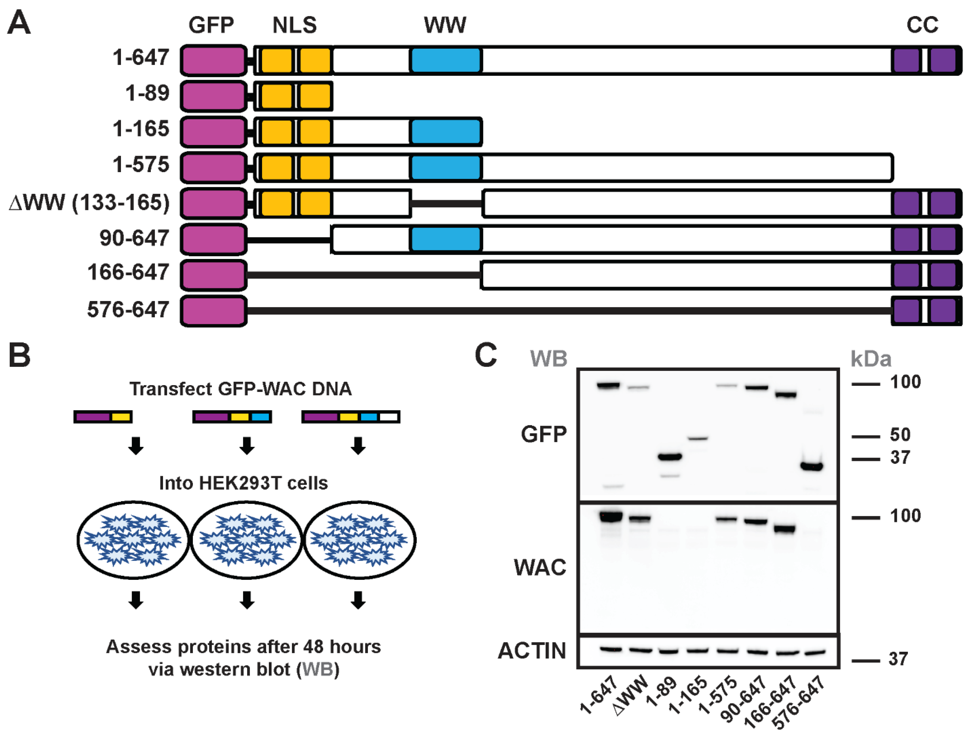 Preprints 68787 g004