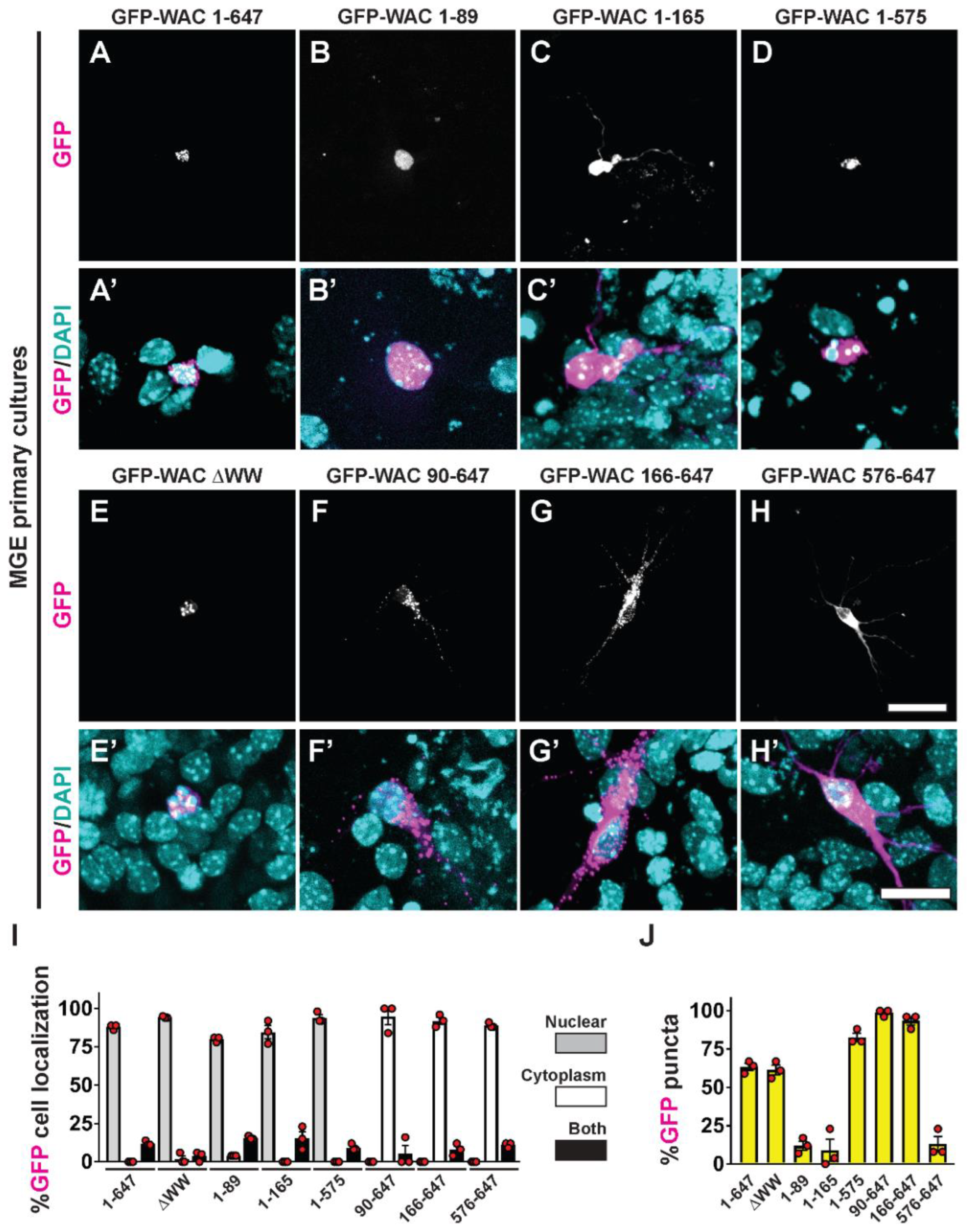 Preprints 68787 g005