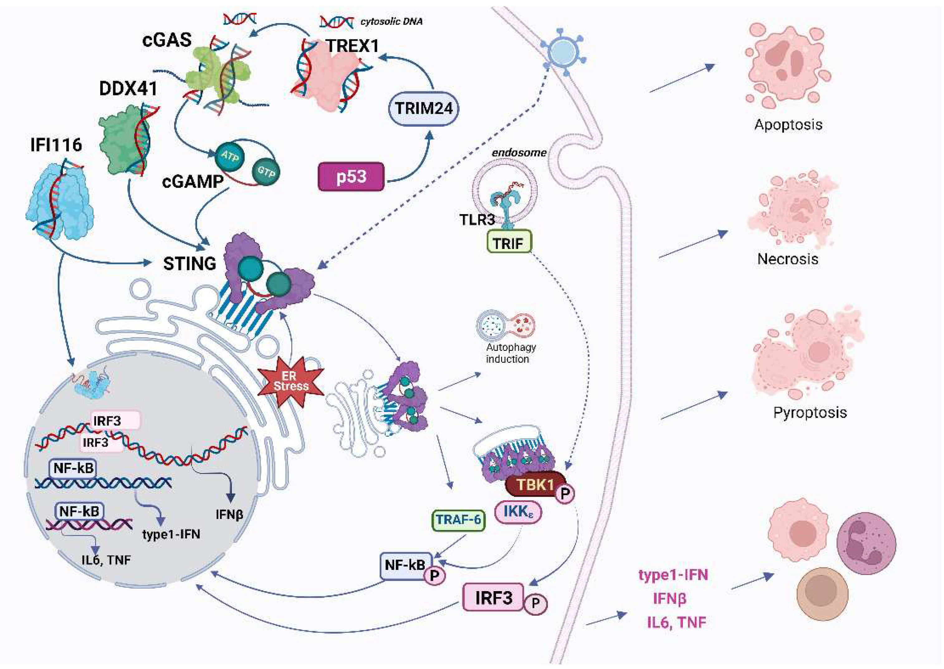 Preprints 86622 g001