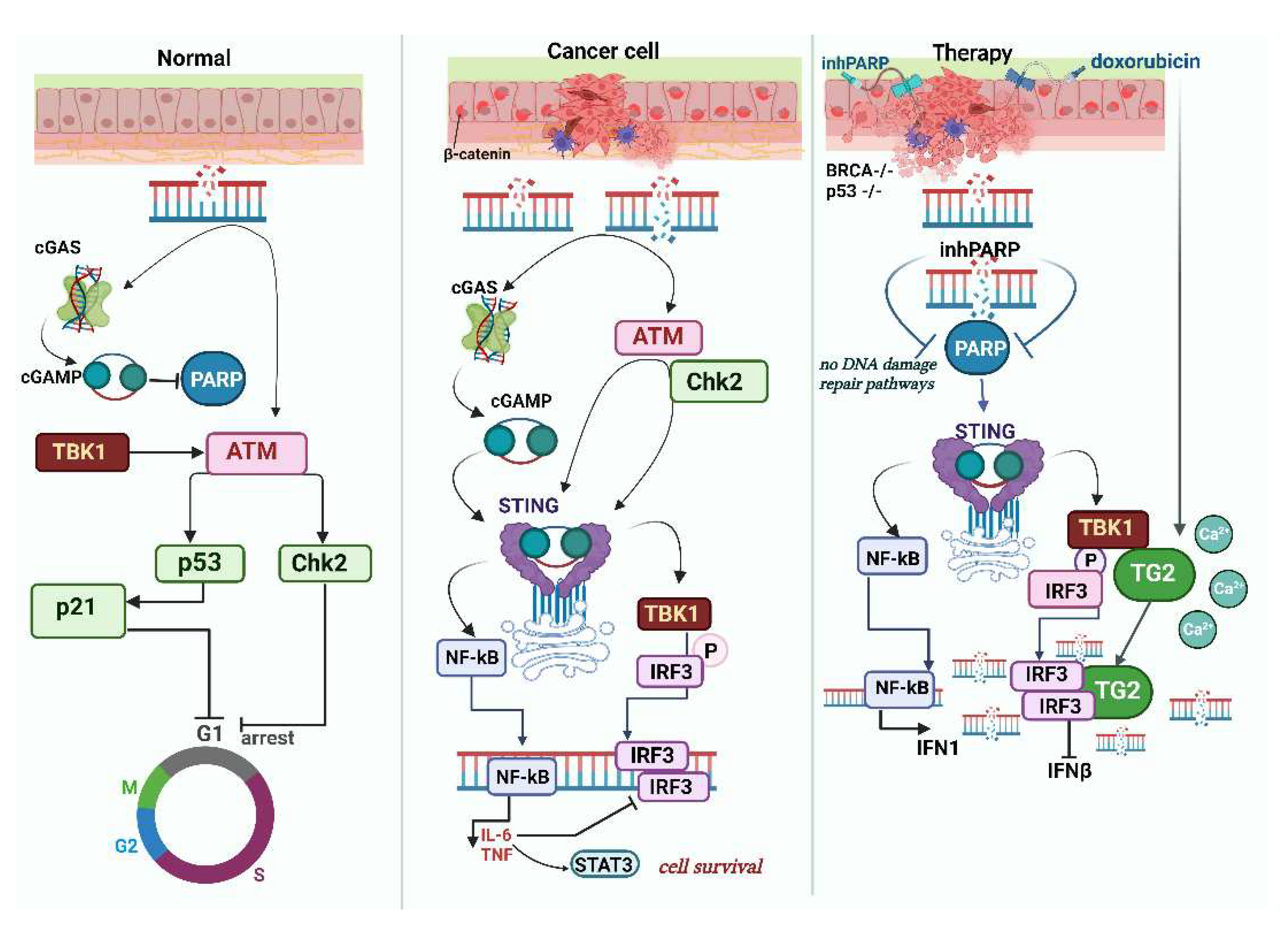 Preprints 86622 g002