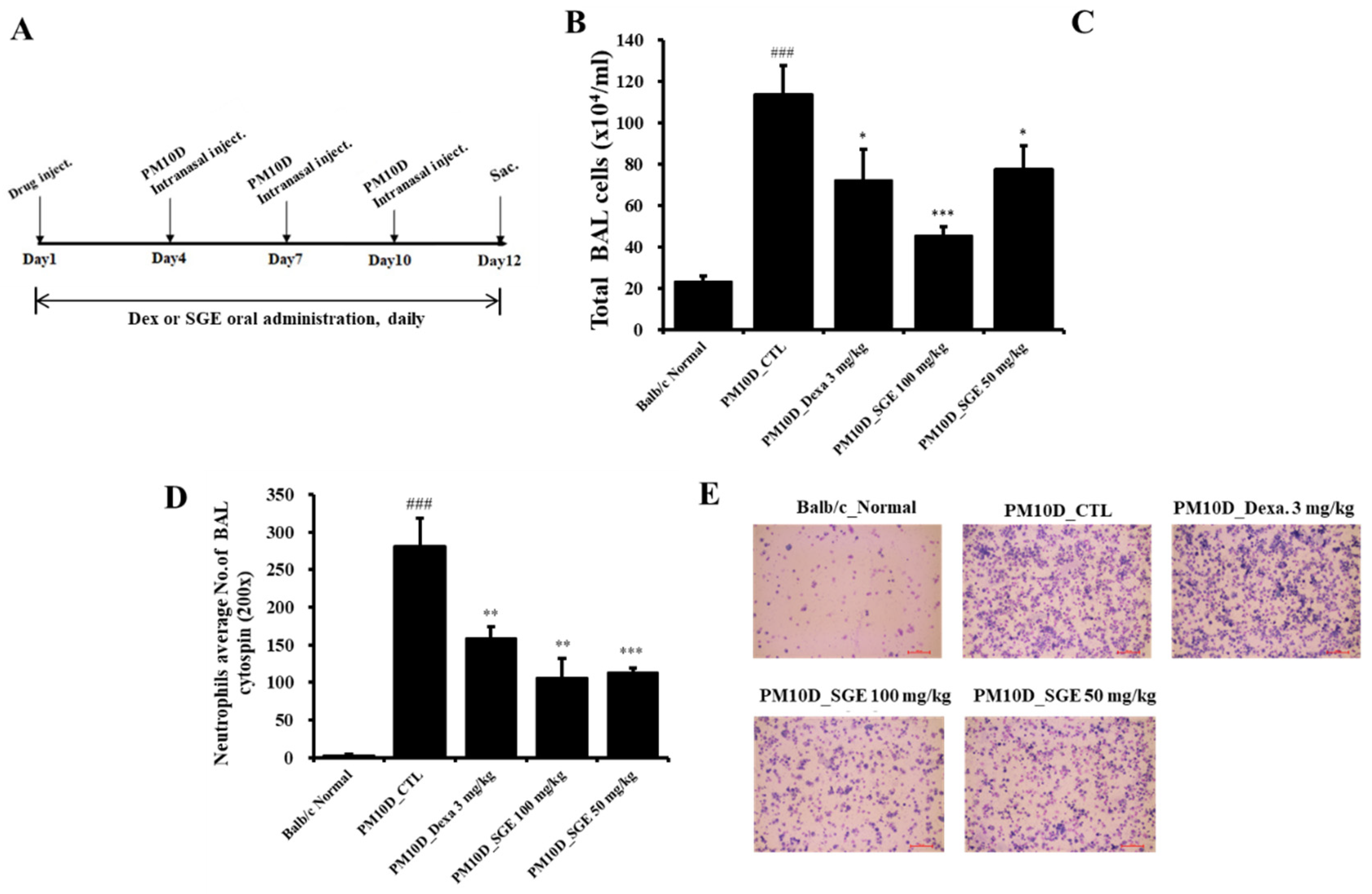 Preprints 80571 g001