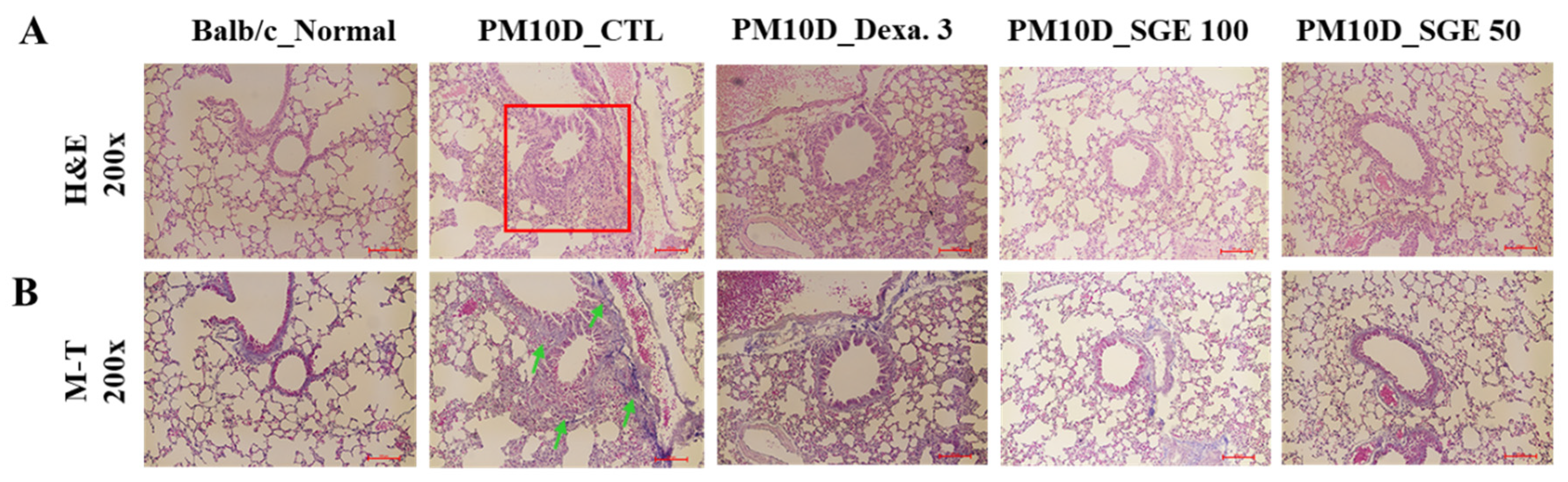 Preprints 80571 g004