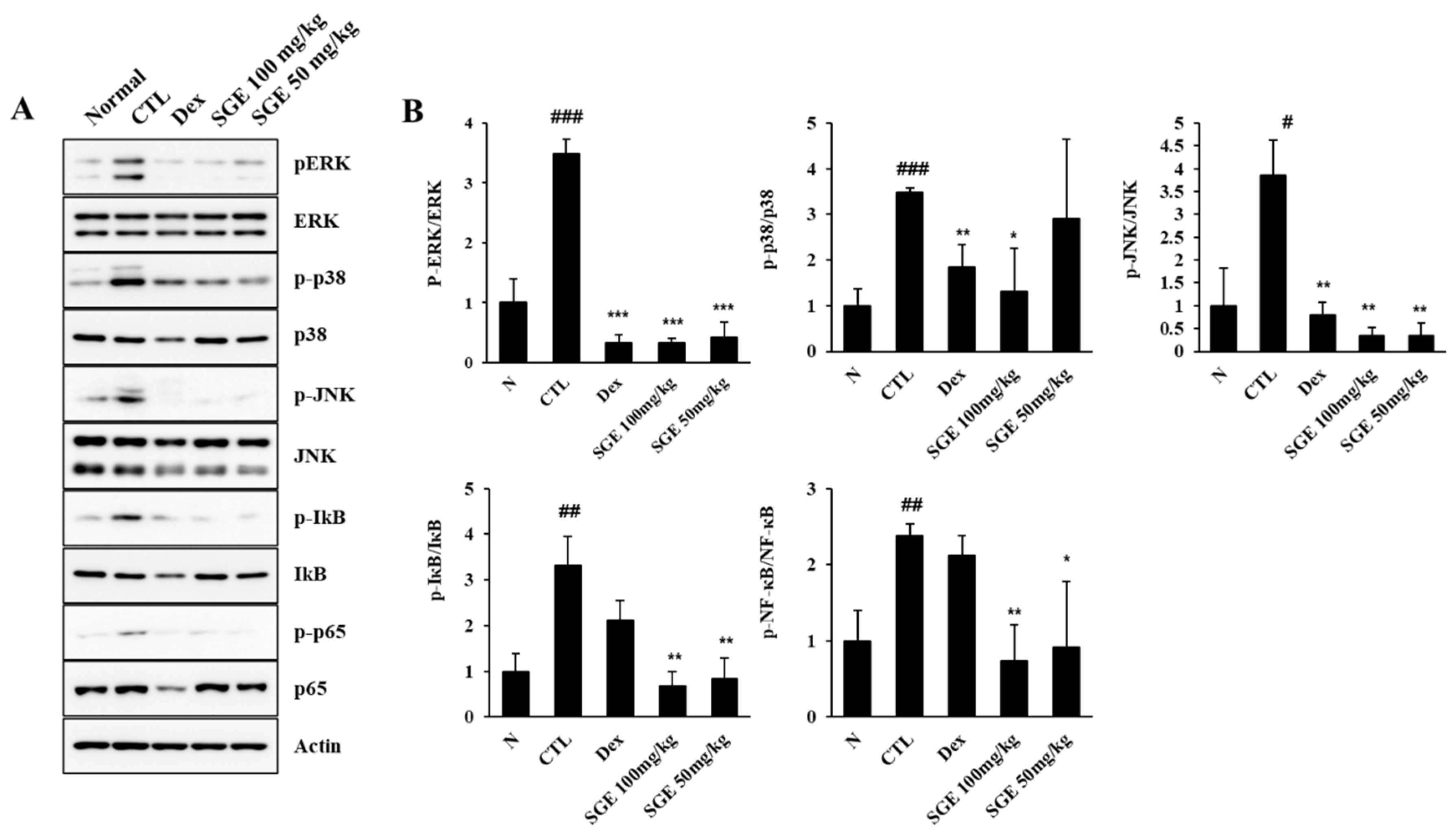 Preprints 80571 g006