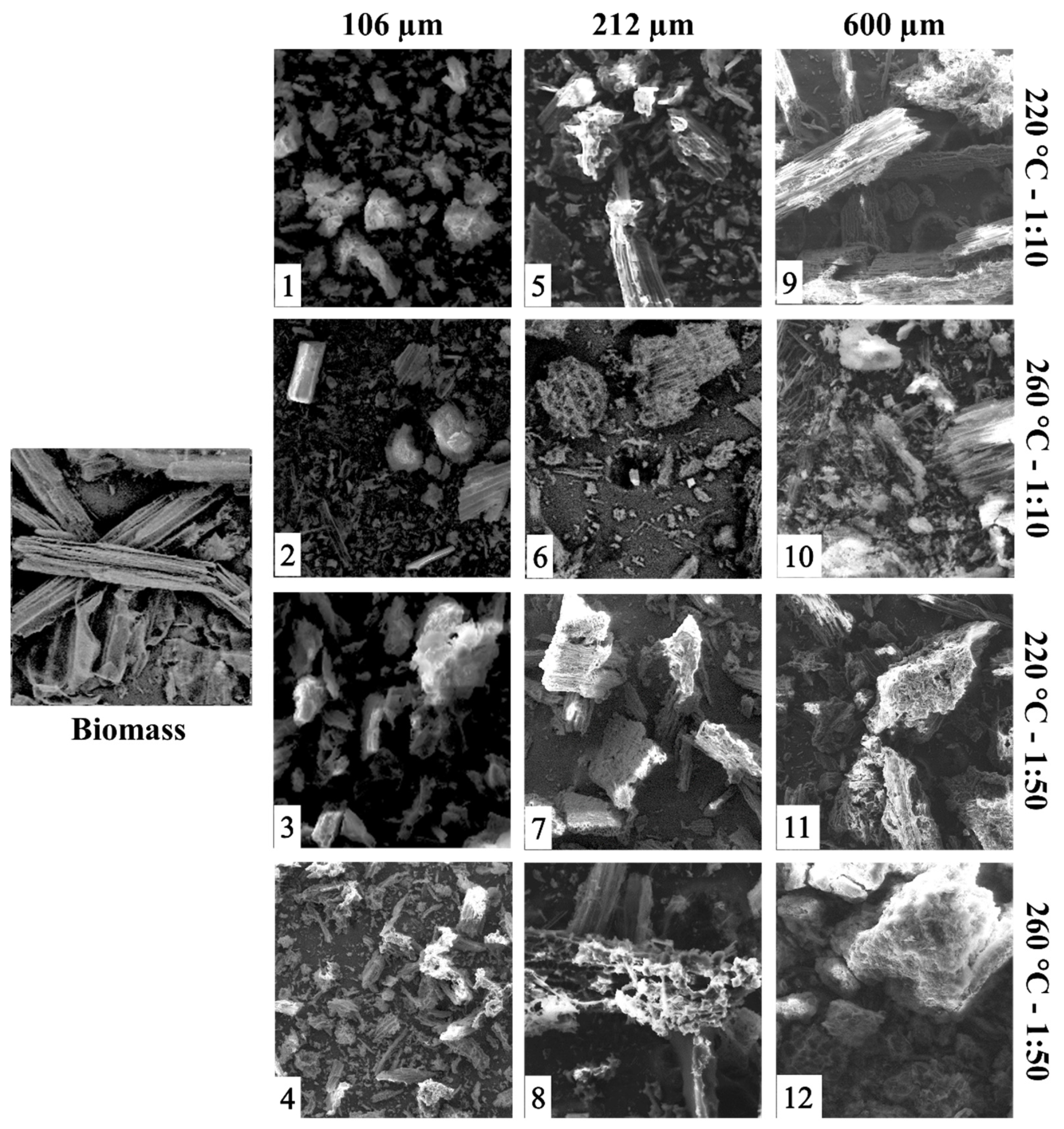 Preprints 99173 g006