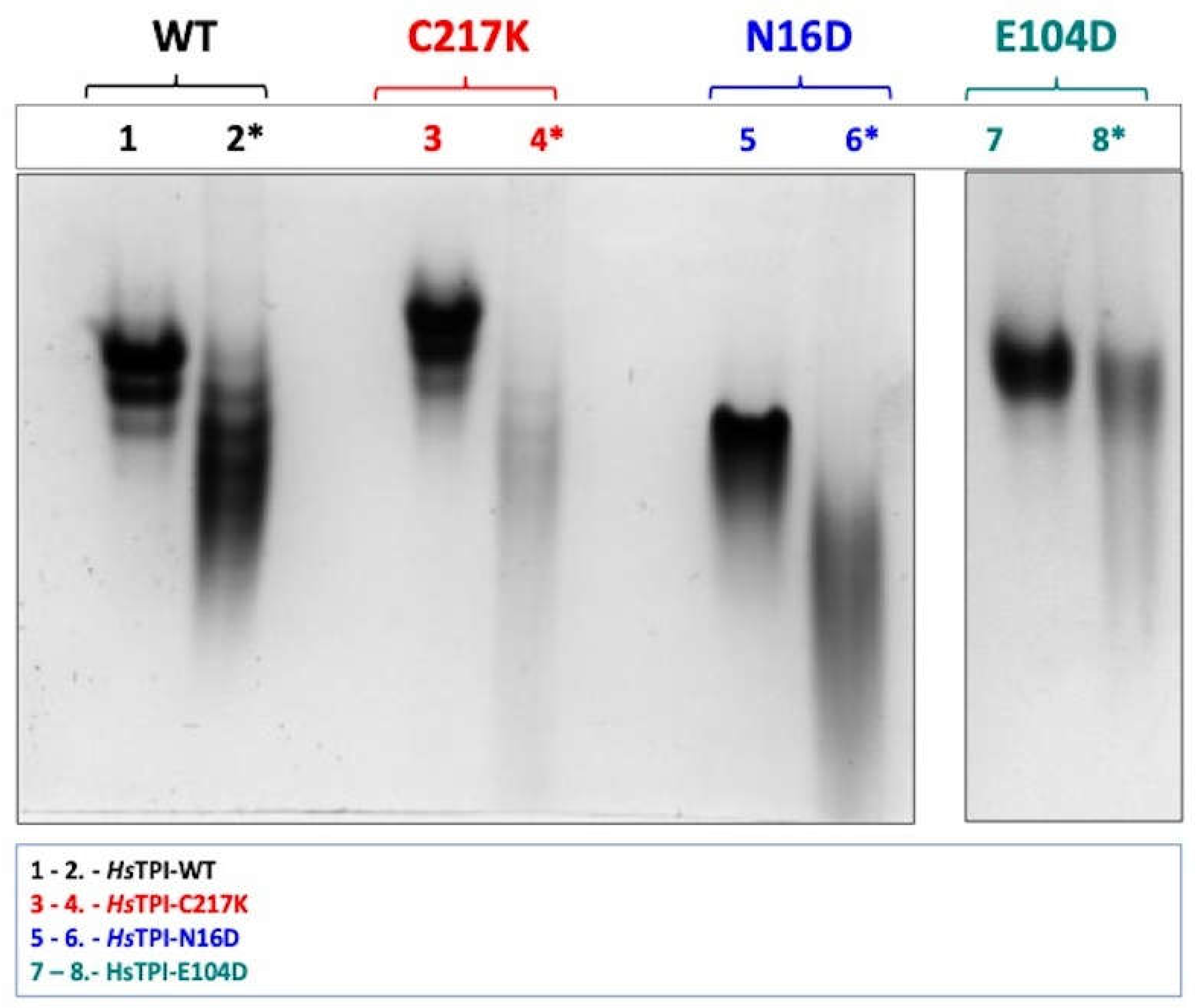 Preprints 110765 g002