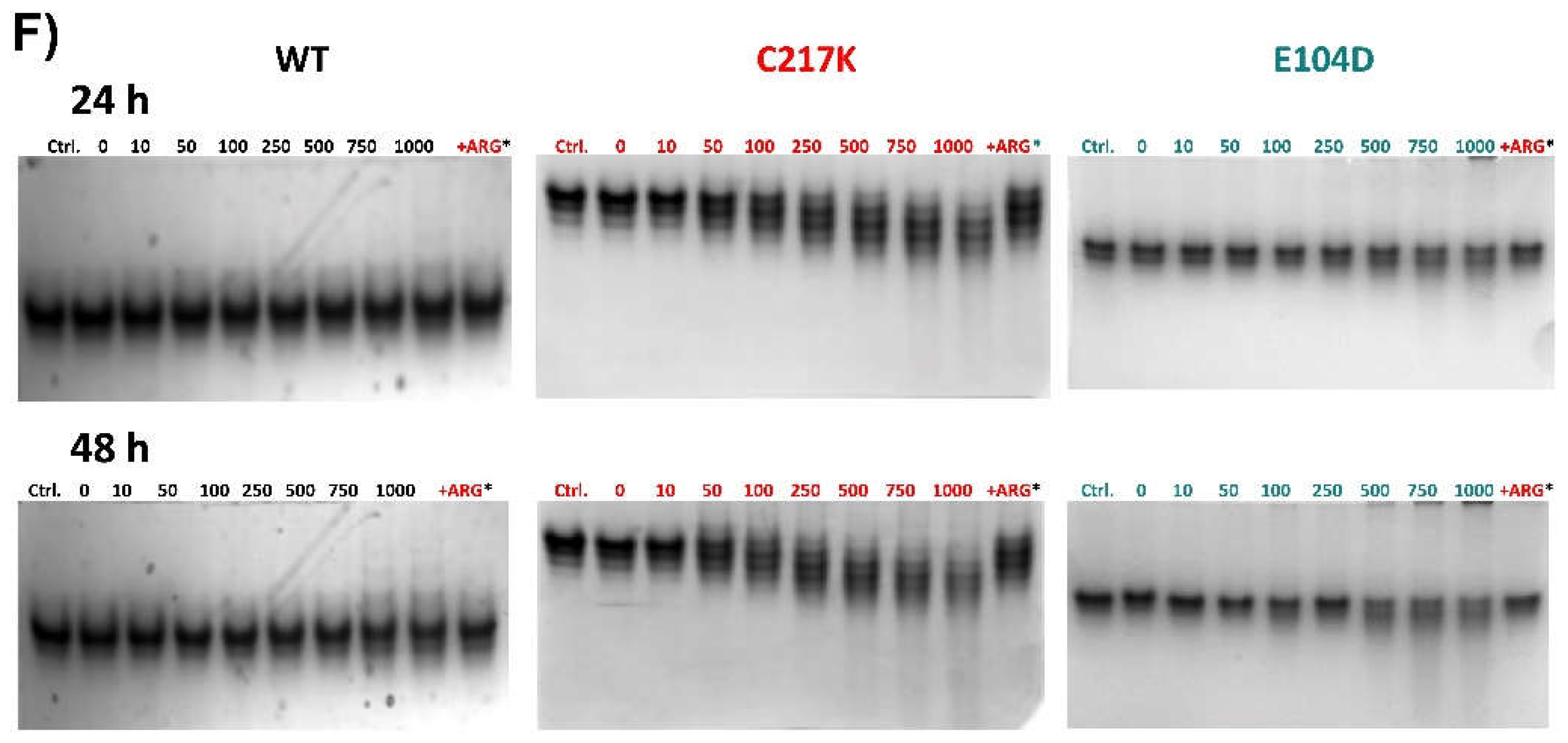 Preprints 110765 g008b