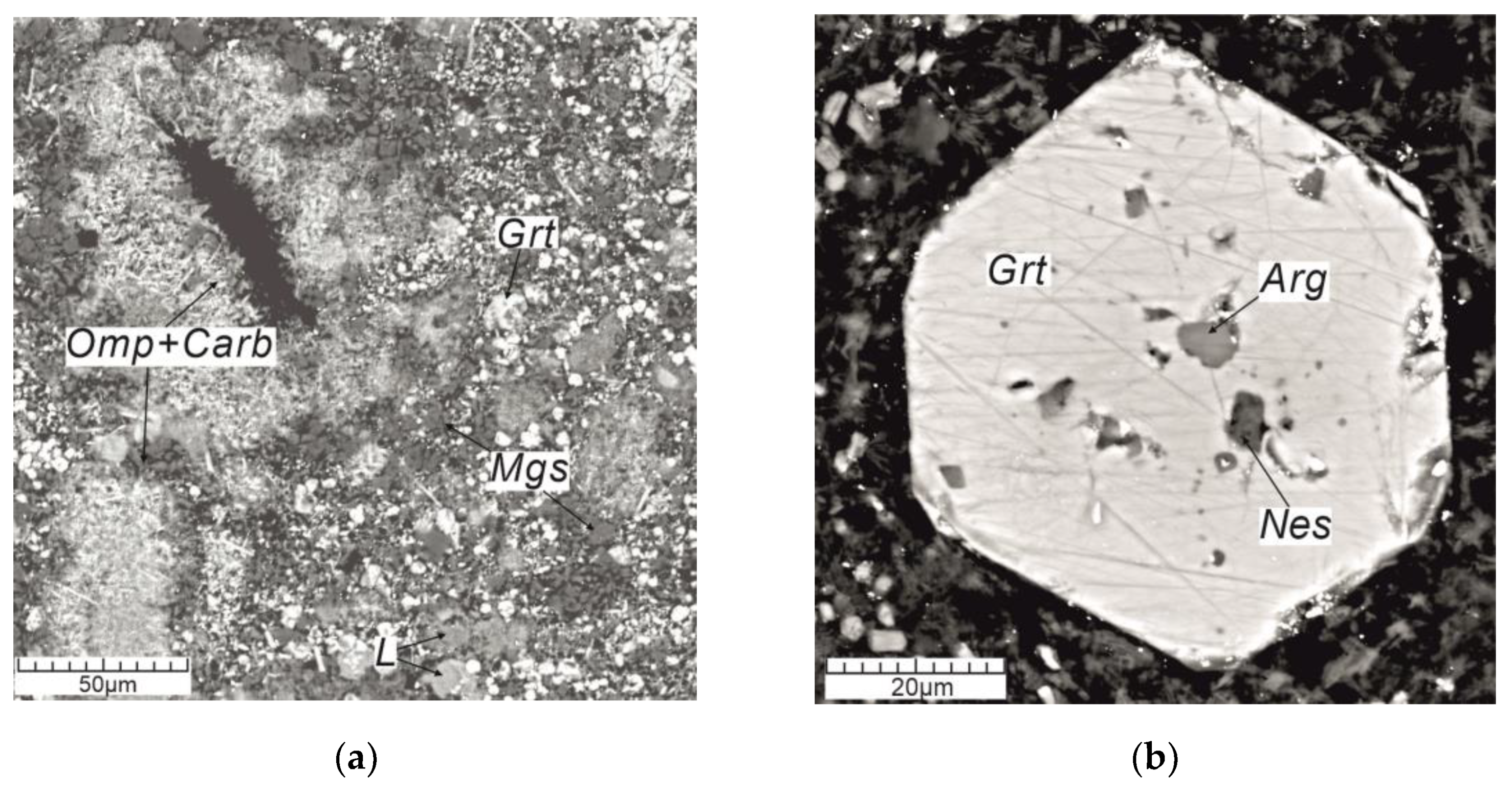 Preprints 72830 g011