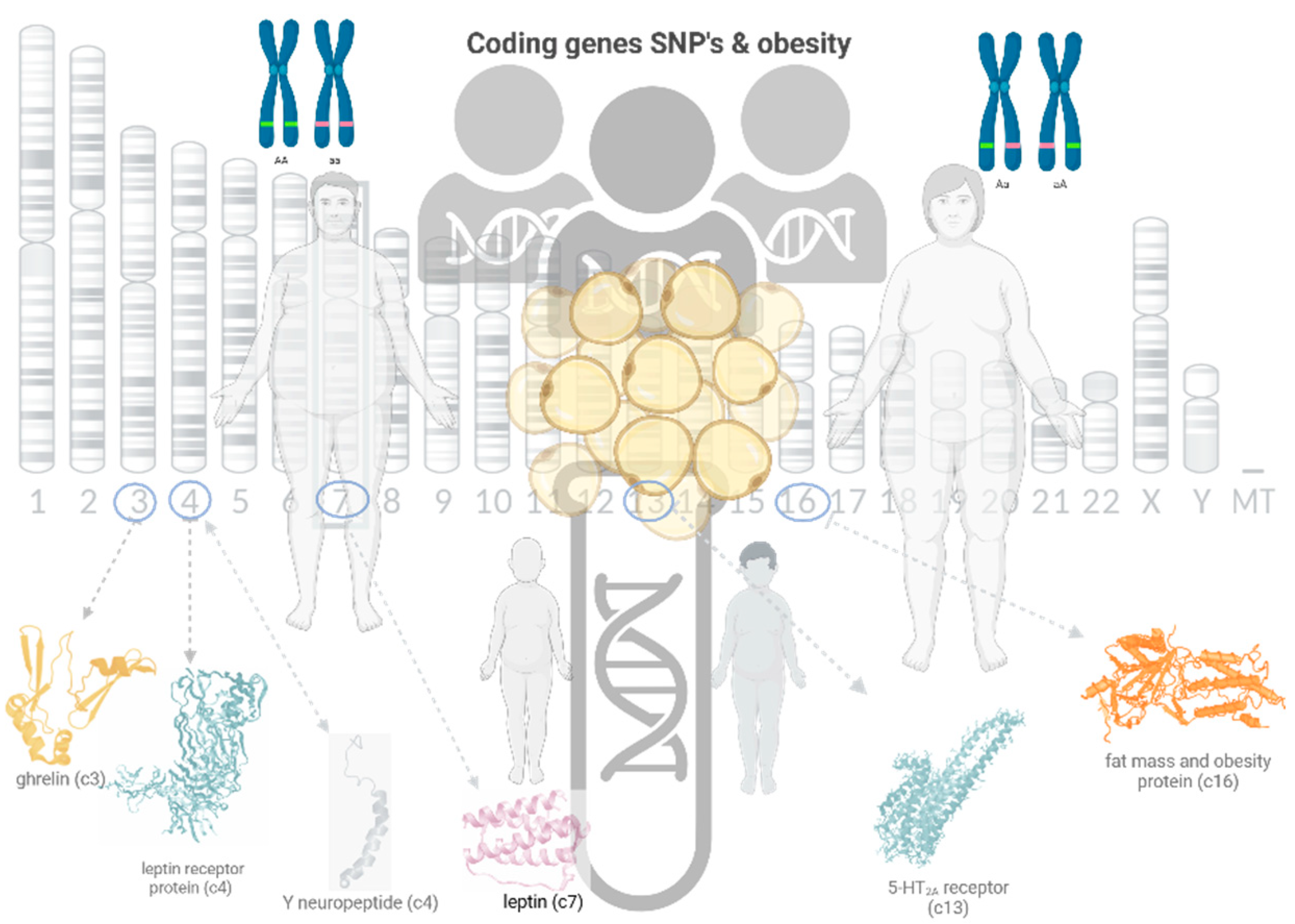 Preprints 99065 g001