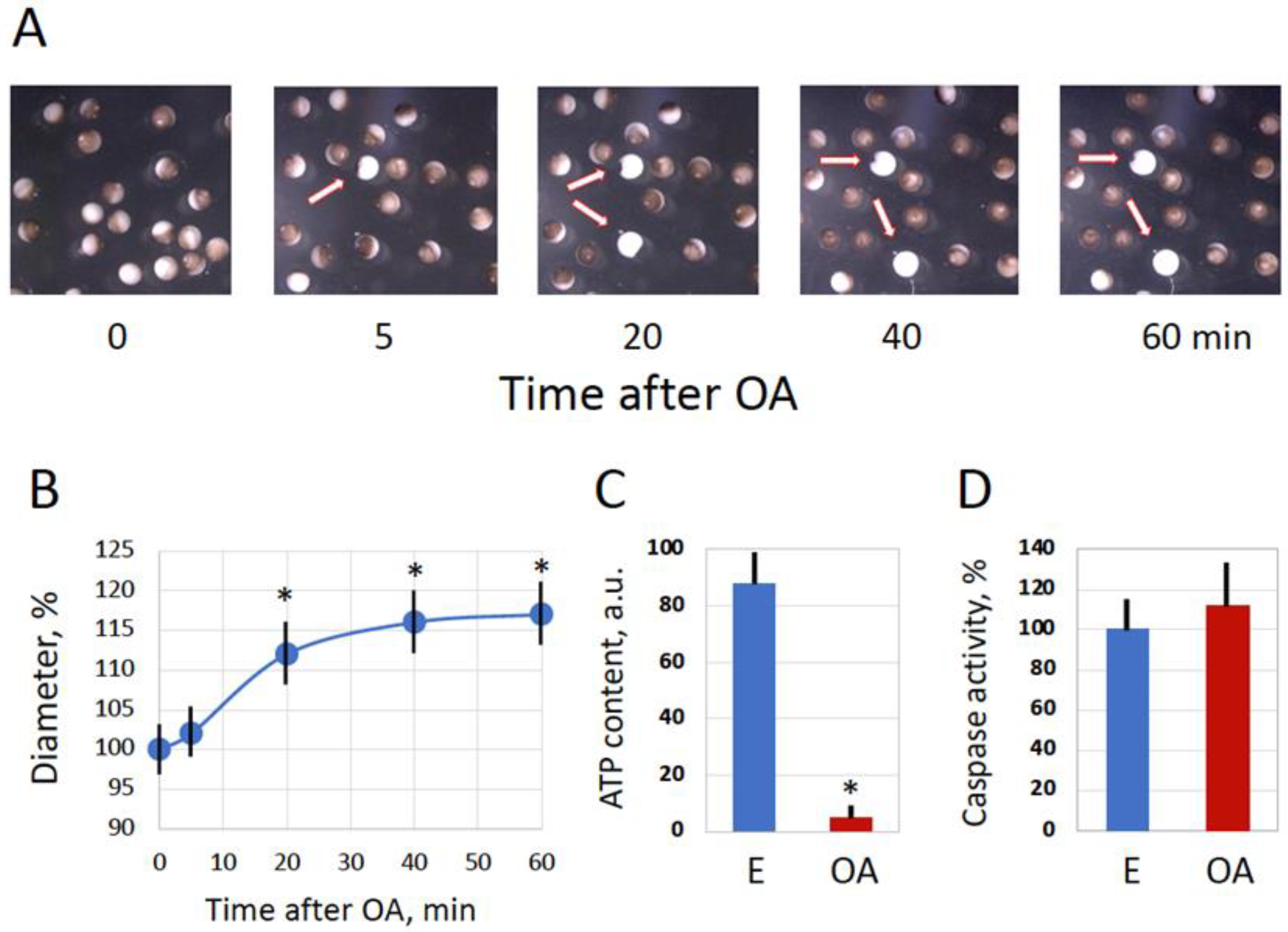 Preprints 97073 g001