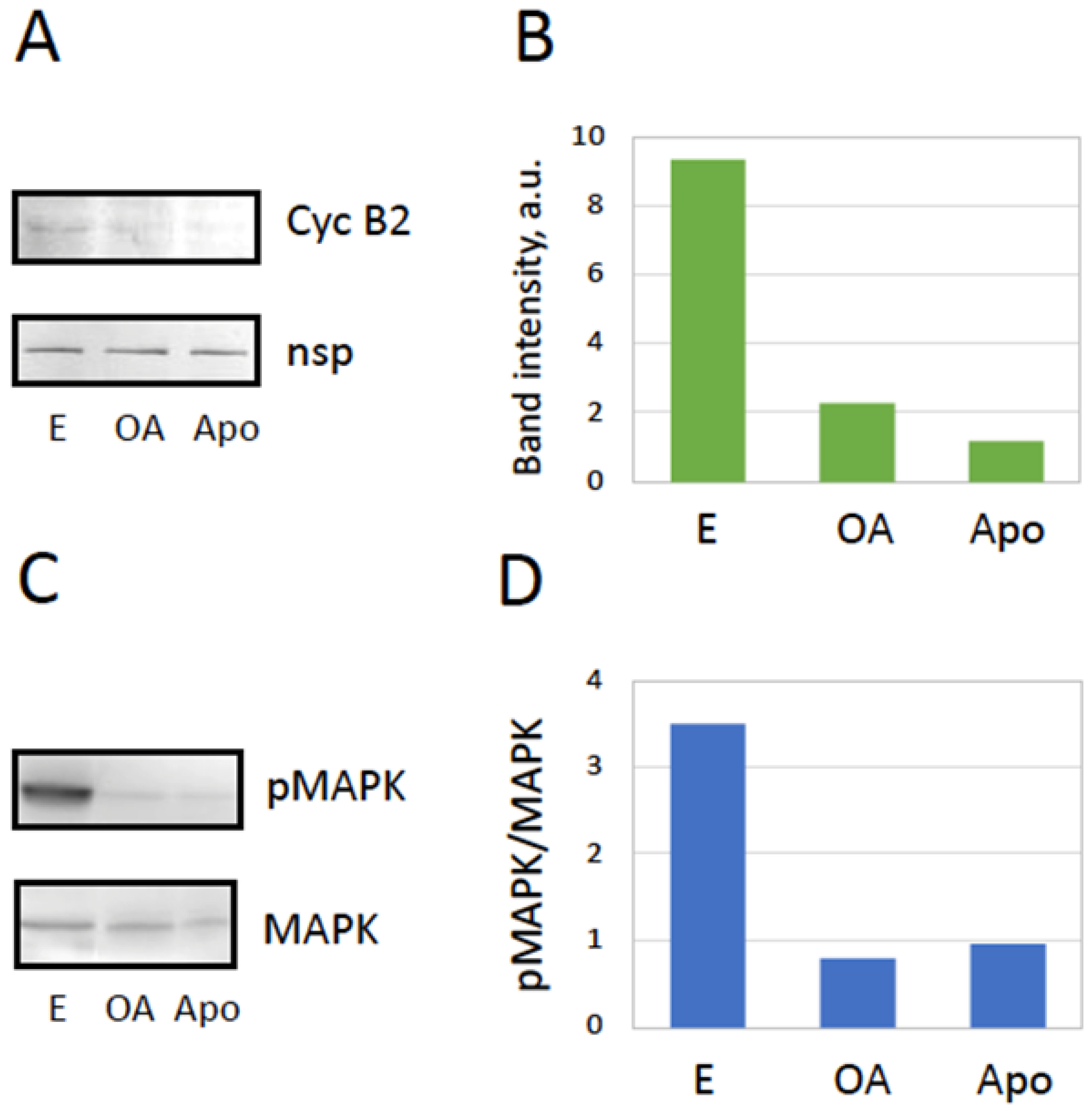 Preprints 97073 g003