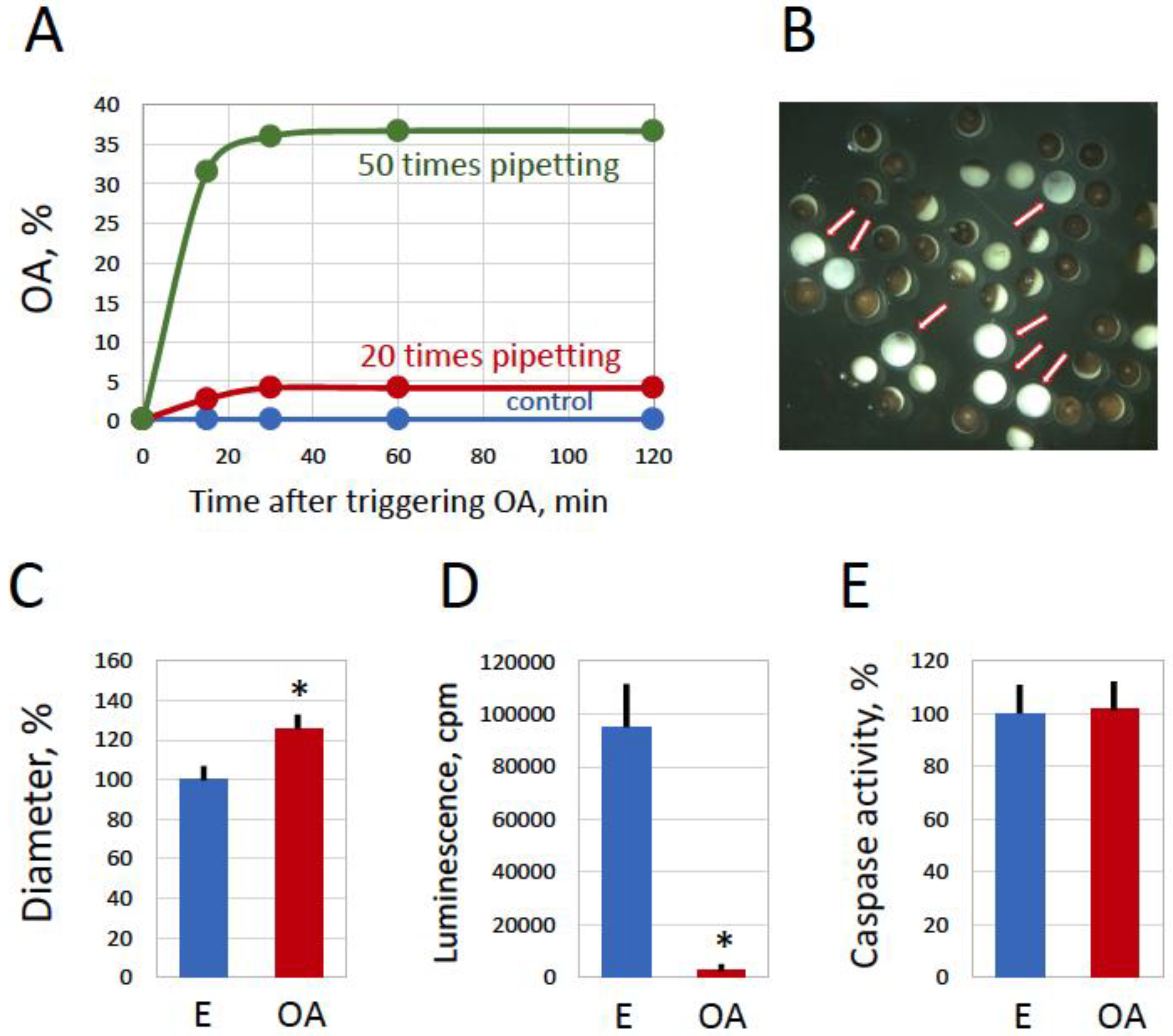 Preprints 97073 g004