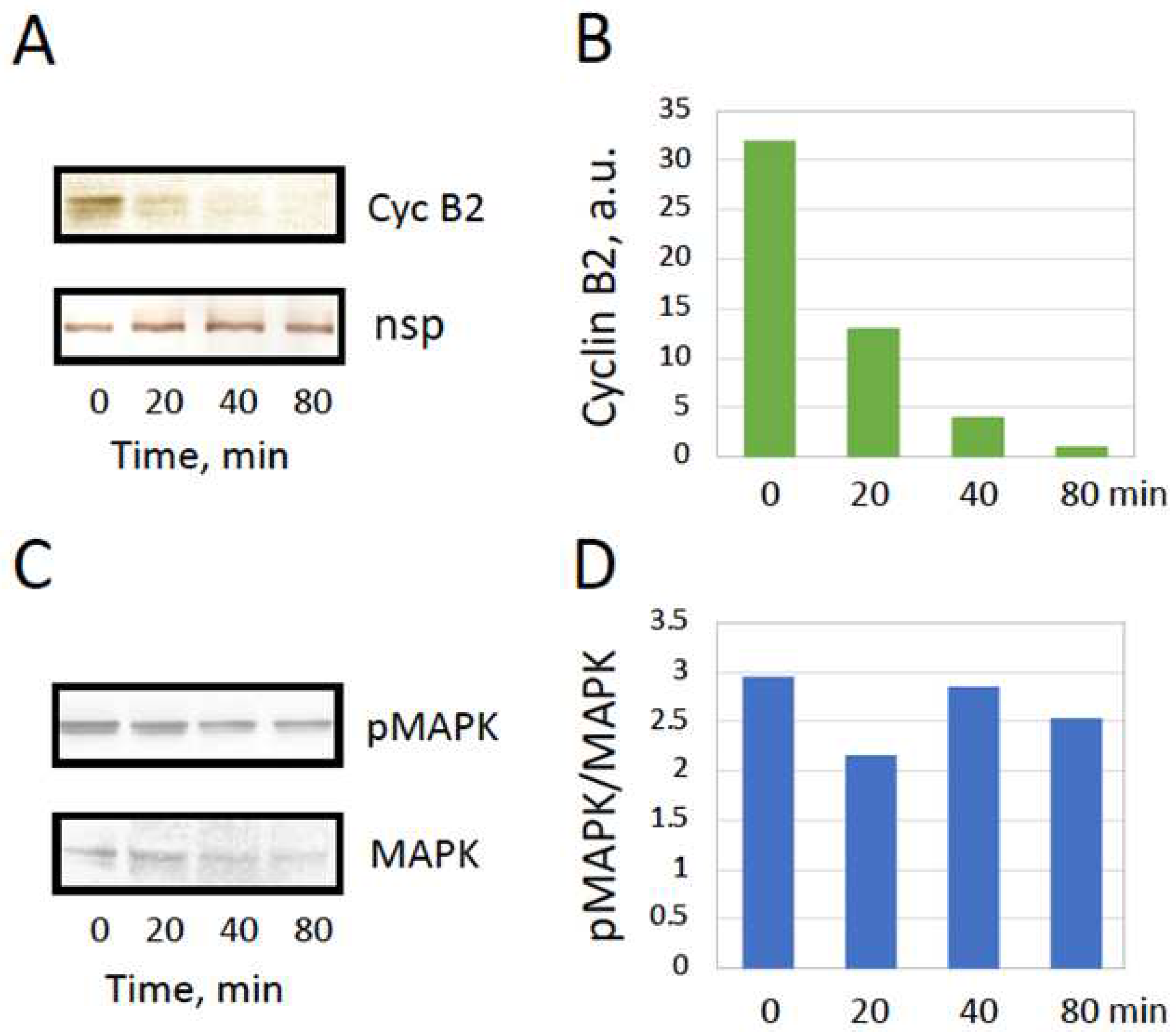 Preprints 97073 g005