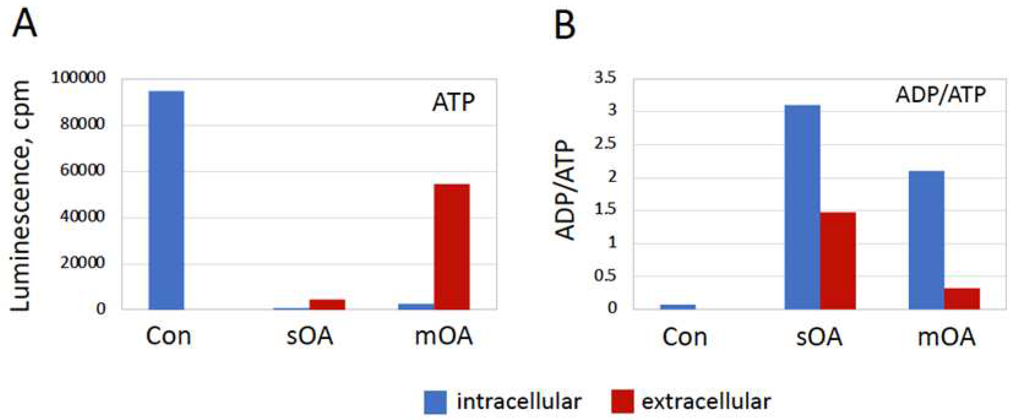 Preprints 97073 g006