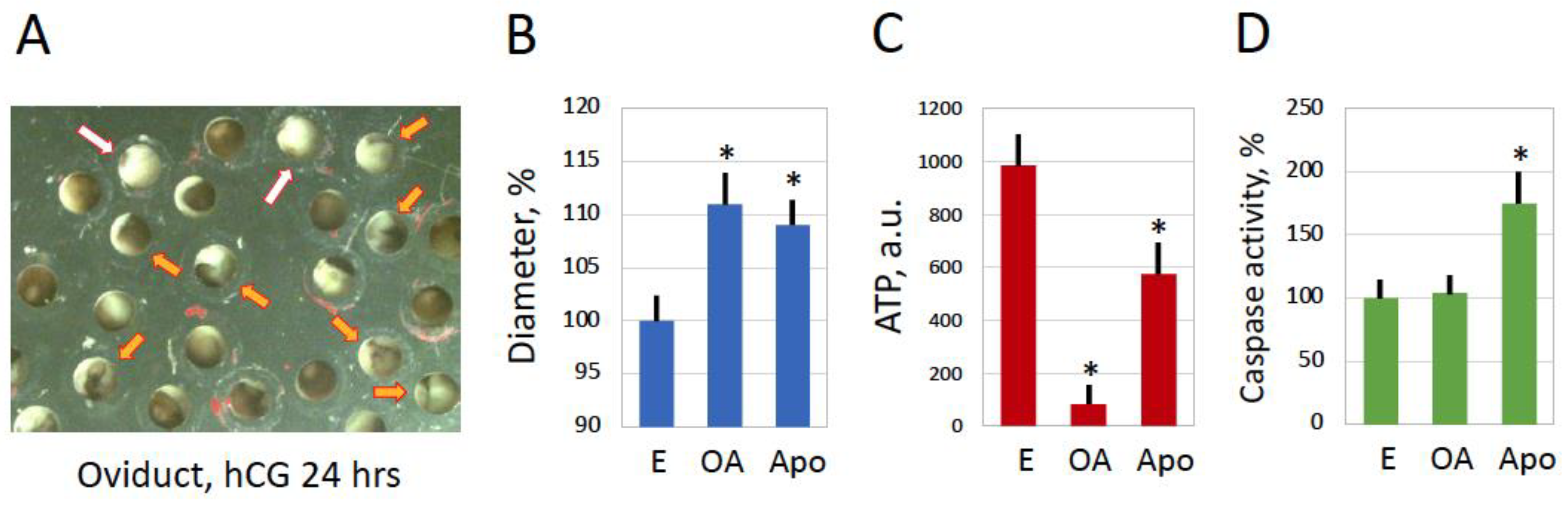 Preprints 97073 g007