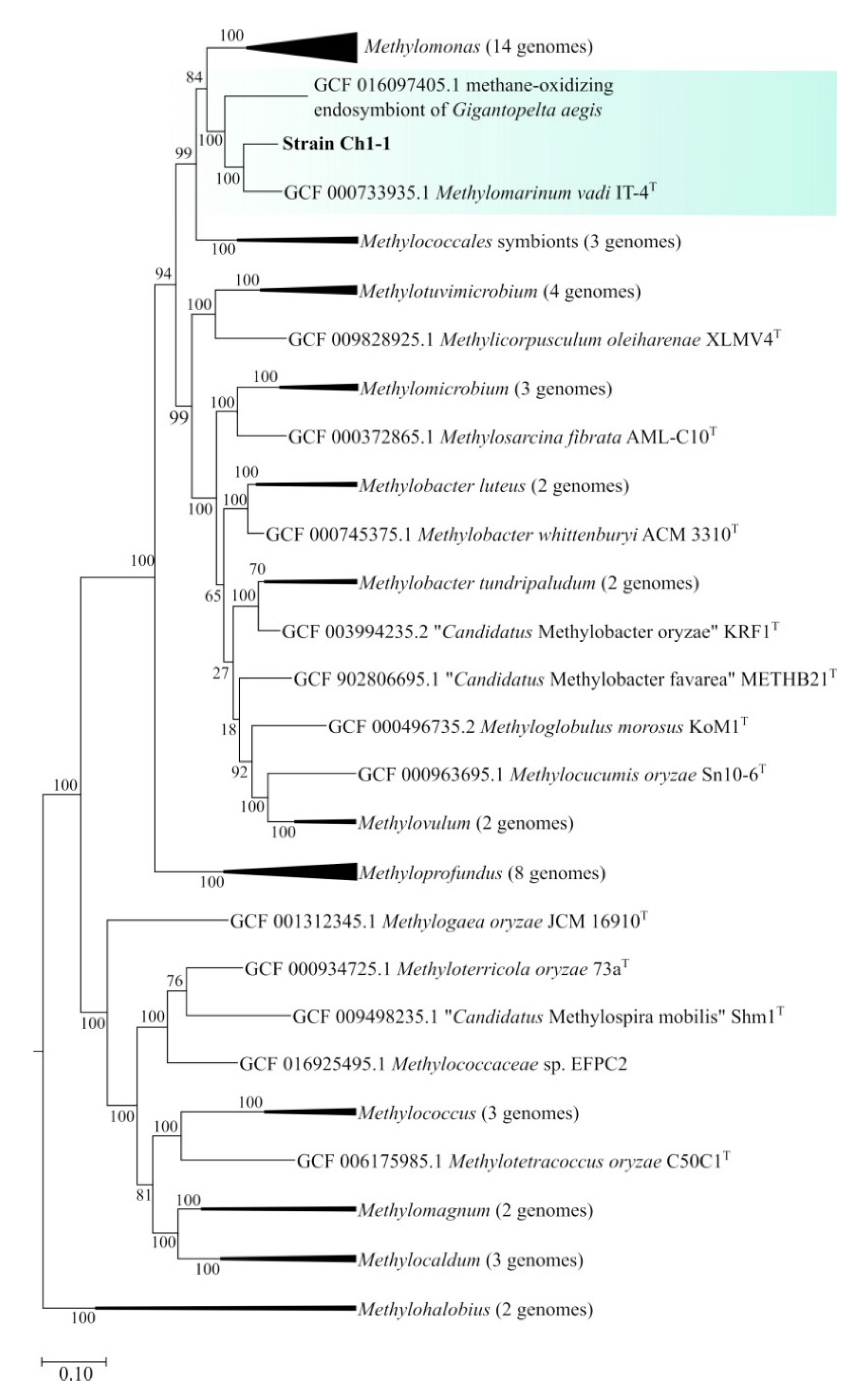 Preprints 82551 g005