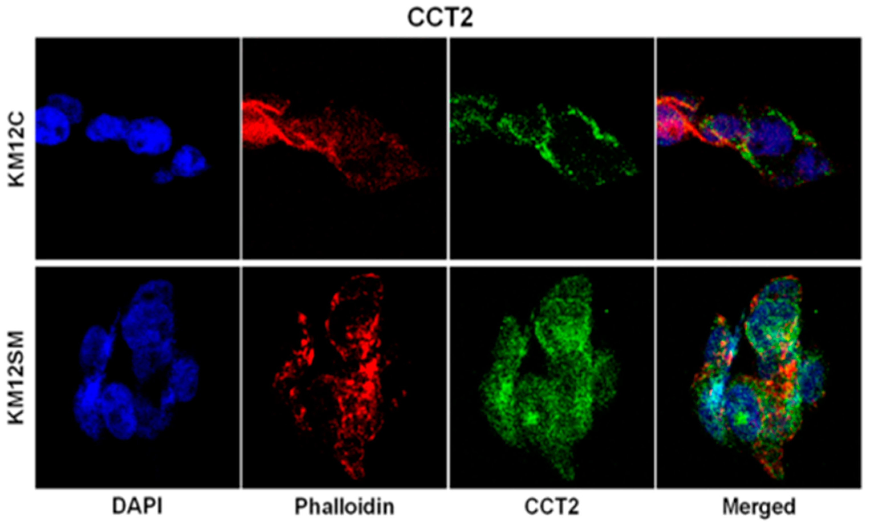 Preprints 73979 g001