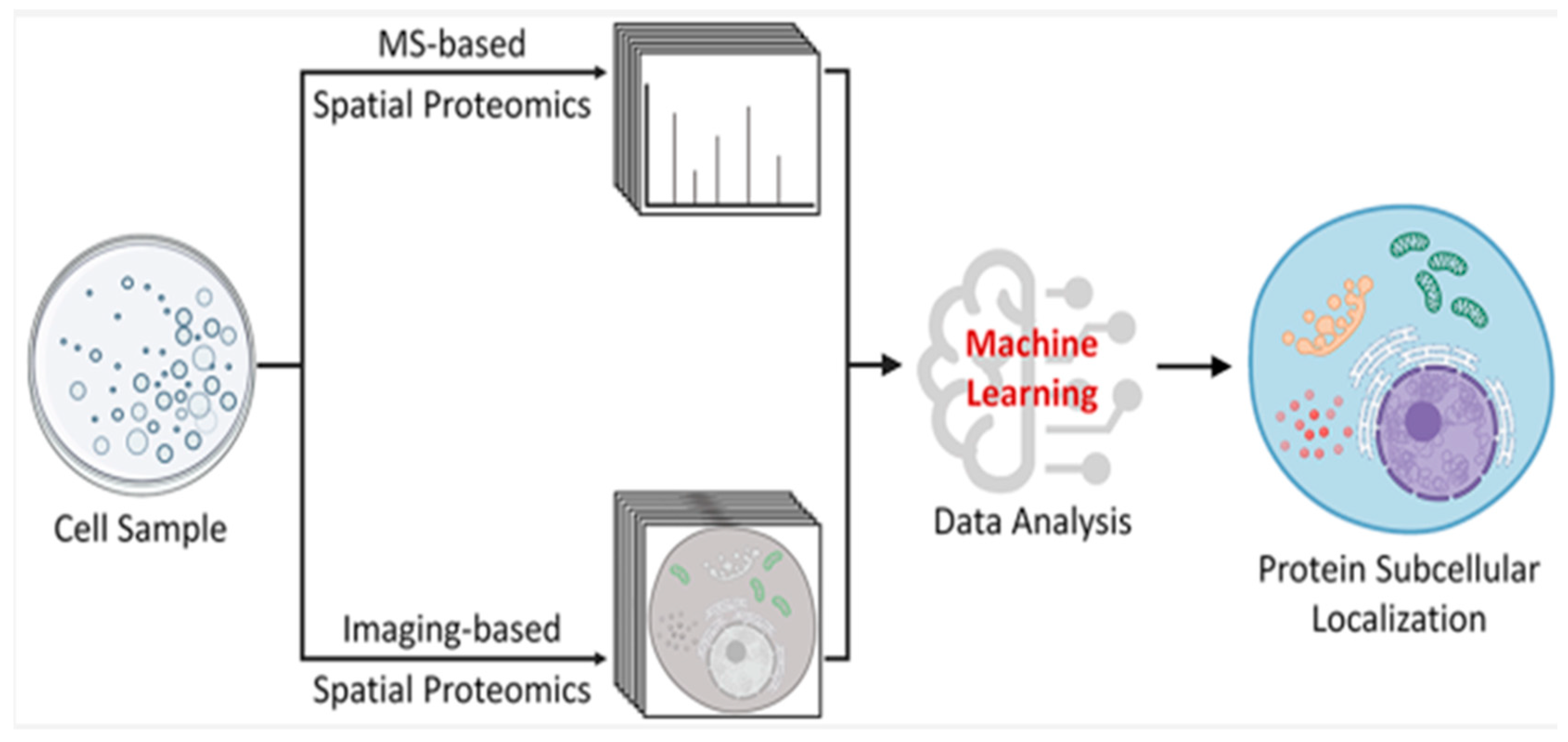 Preprints 73979 g003