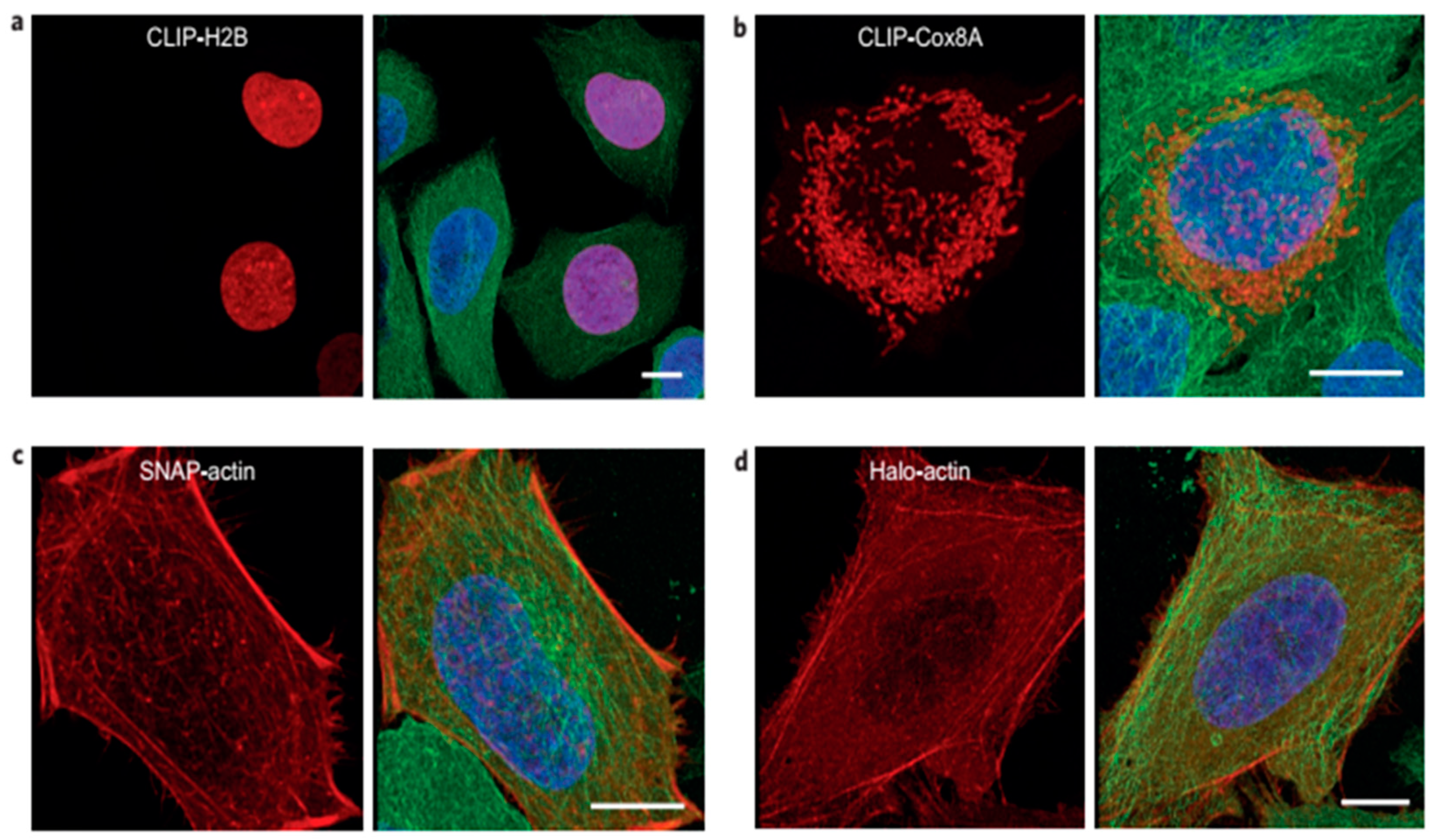 Preprints 73979 g005