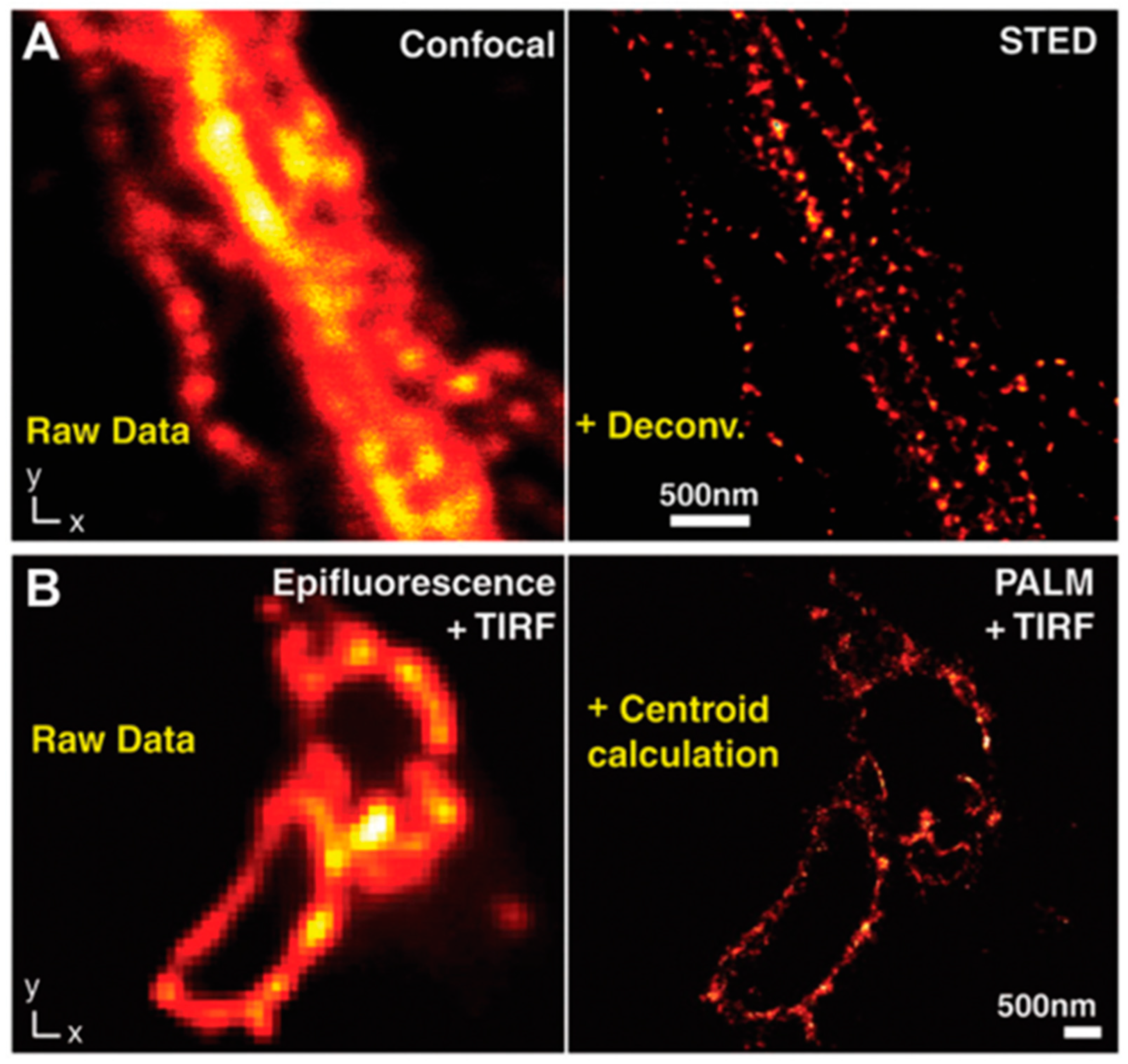 Preprints 73979 g006